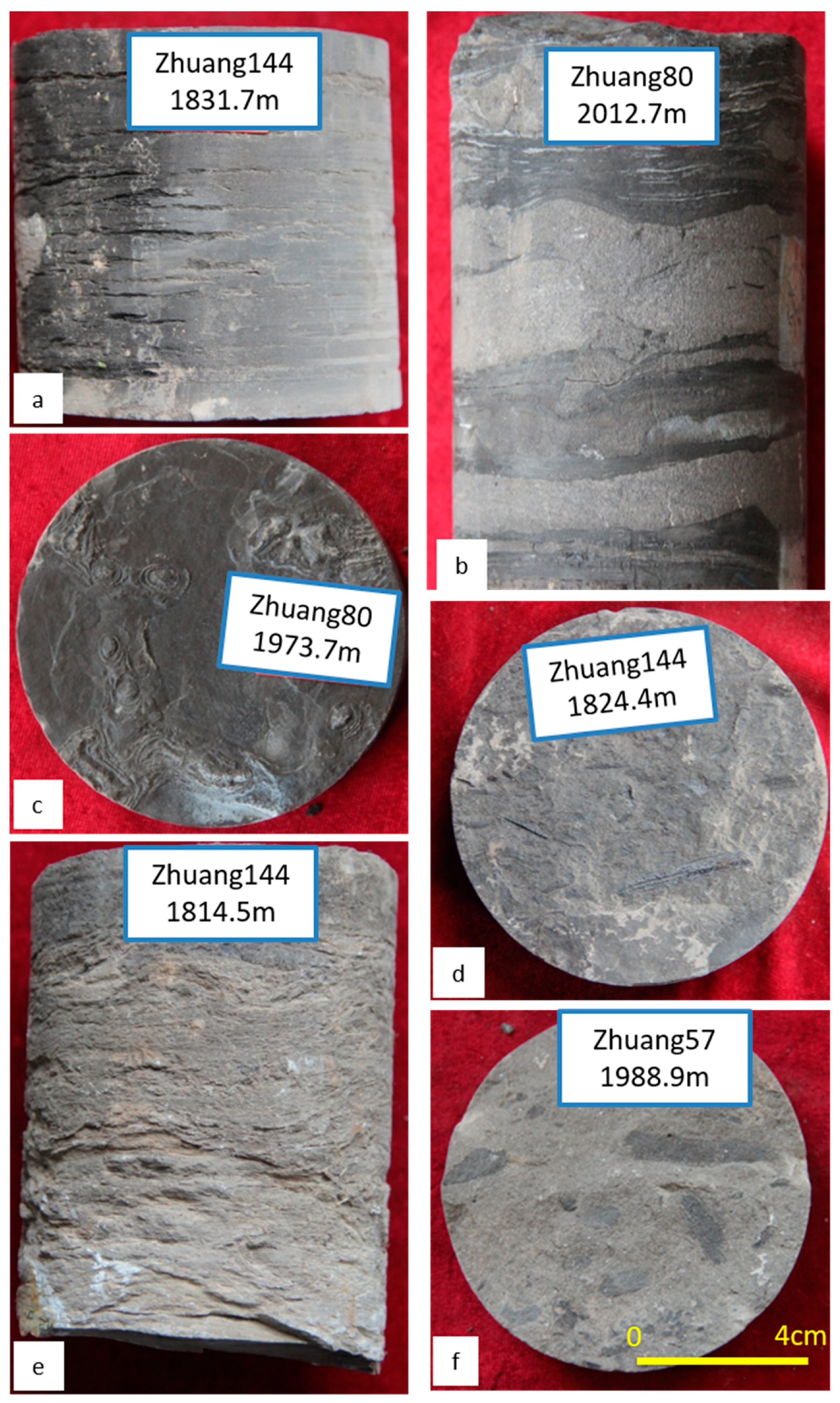 Minerals 13 01075 g005
