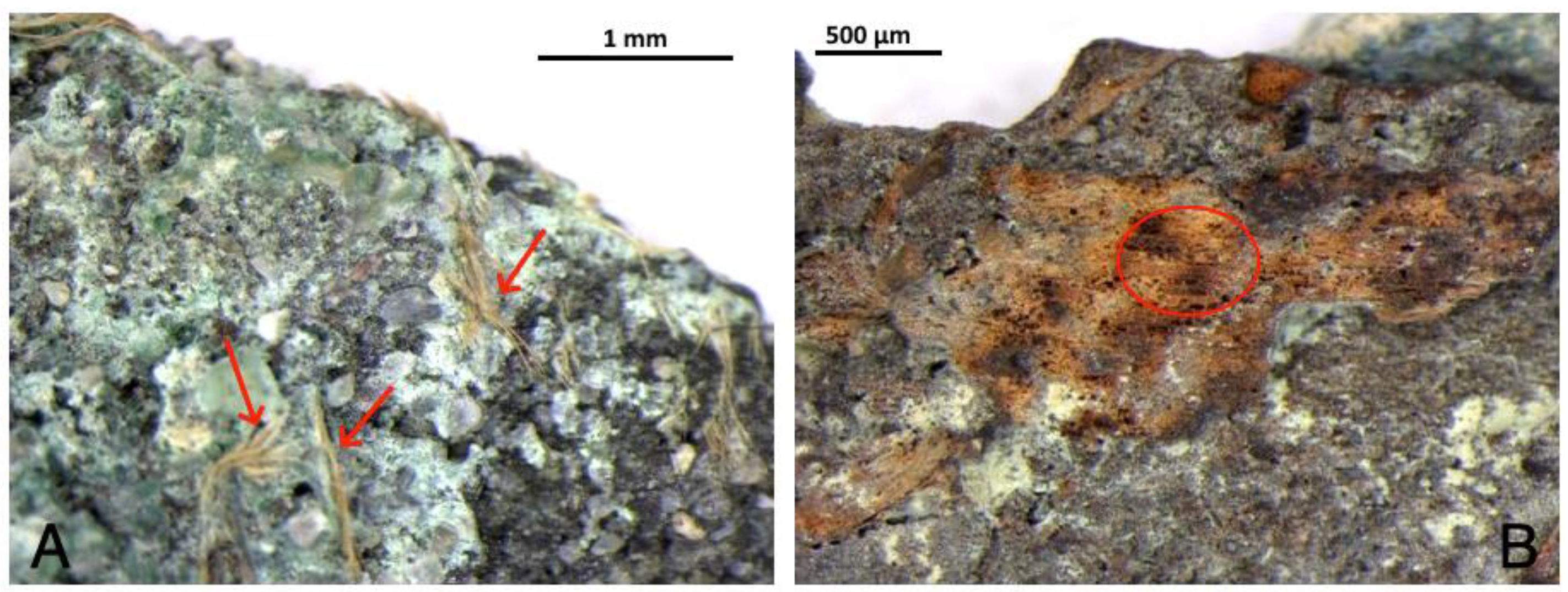 Minerals 13 01085 g002 Minerals 13 01085 g002