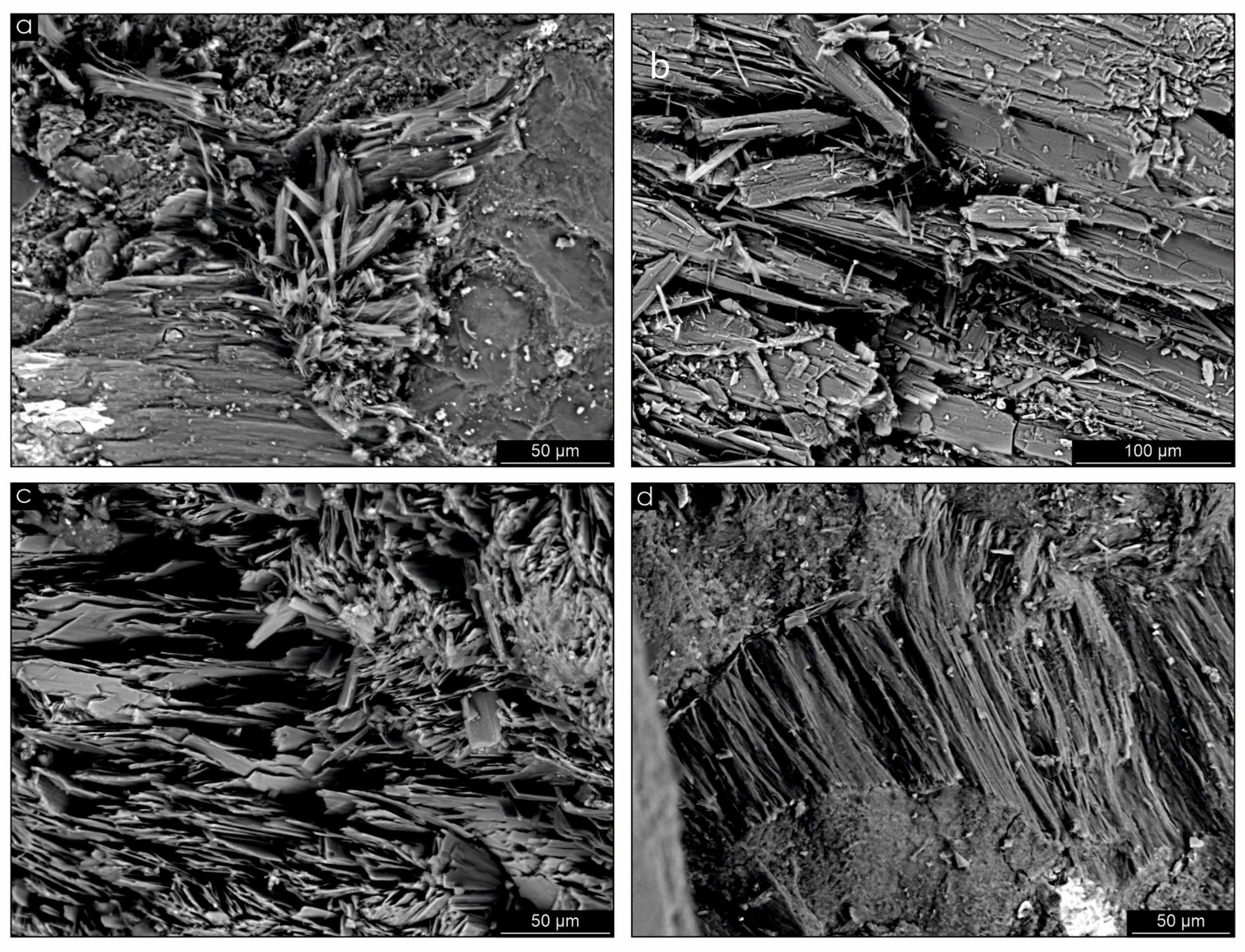 Minerals 13 01132 g006