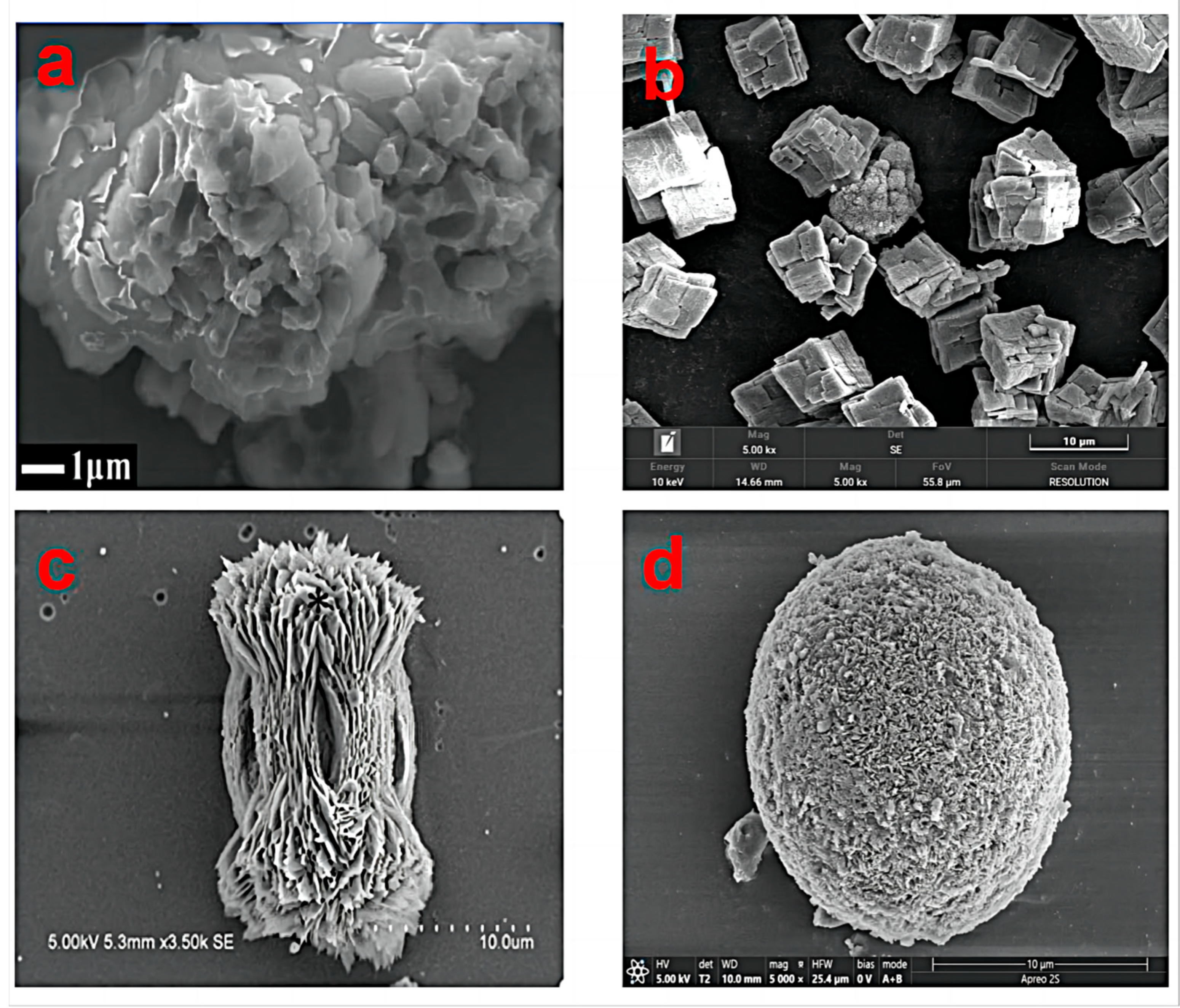 Minerals 13 01136 g001