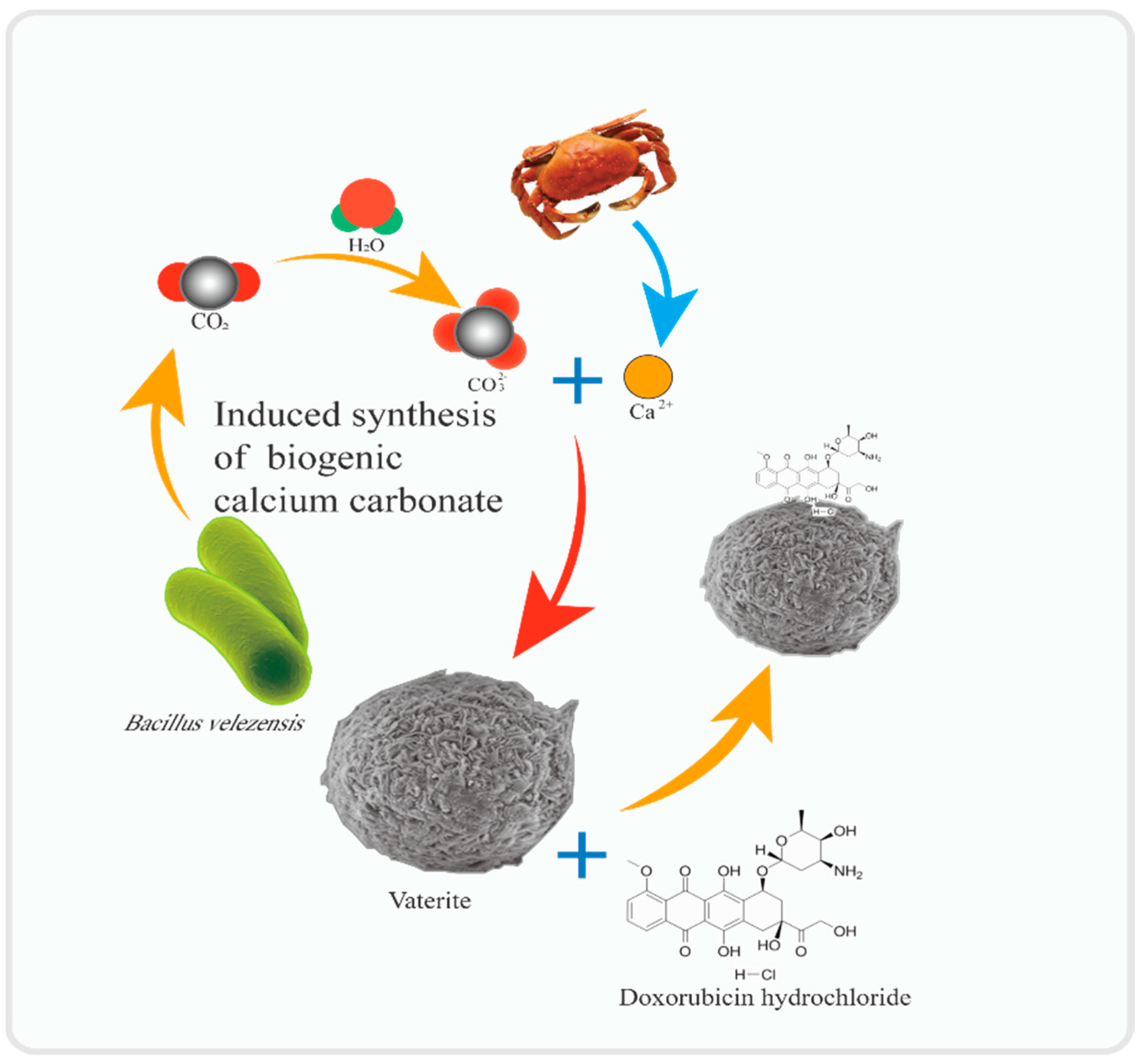 Minerals 13 01136 g002