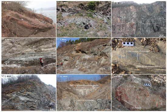 The Mid-Cretaceous Tectonothermal Evolution of the