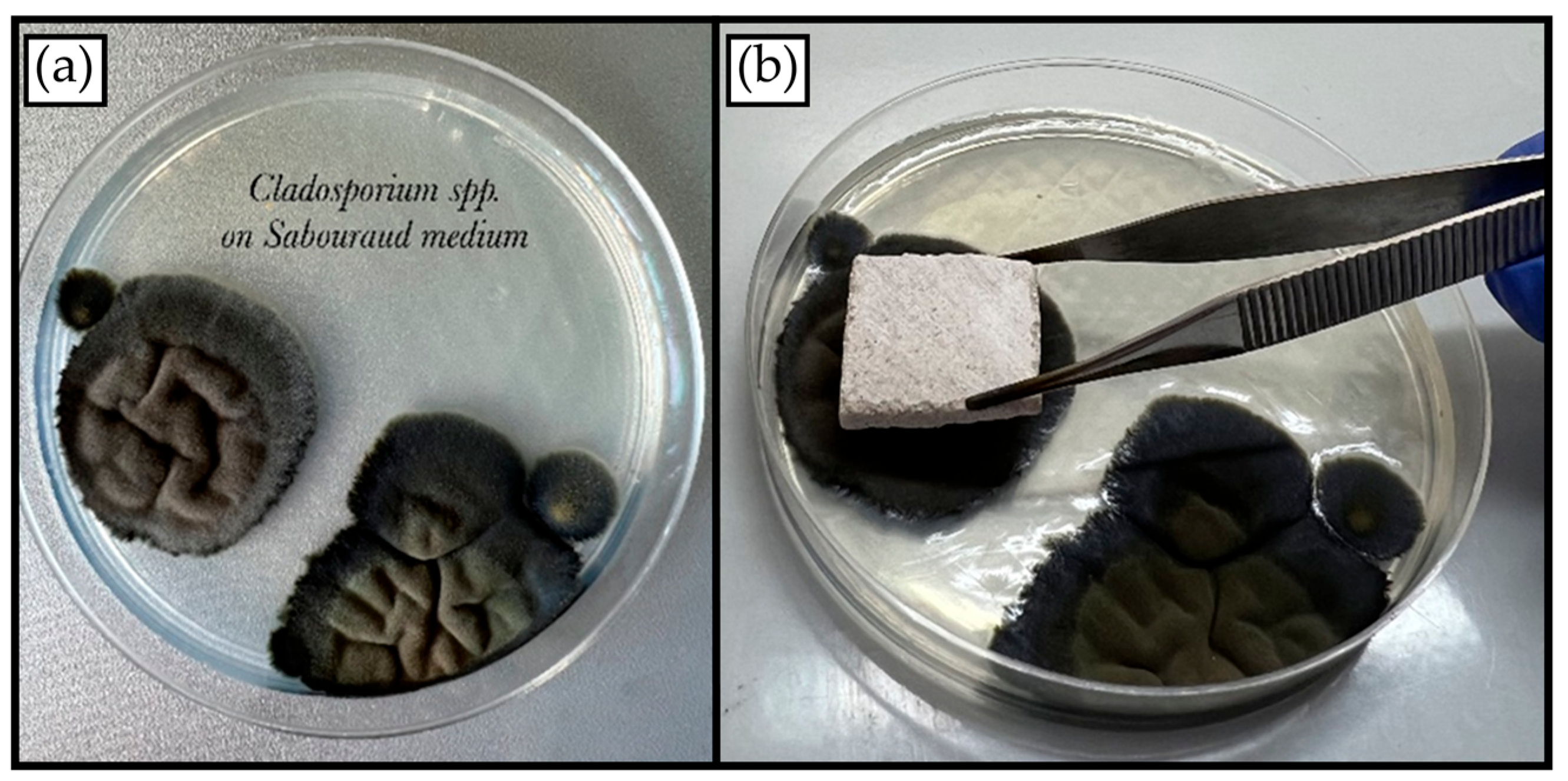 Minerals 13 01170 g004