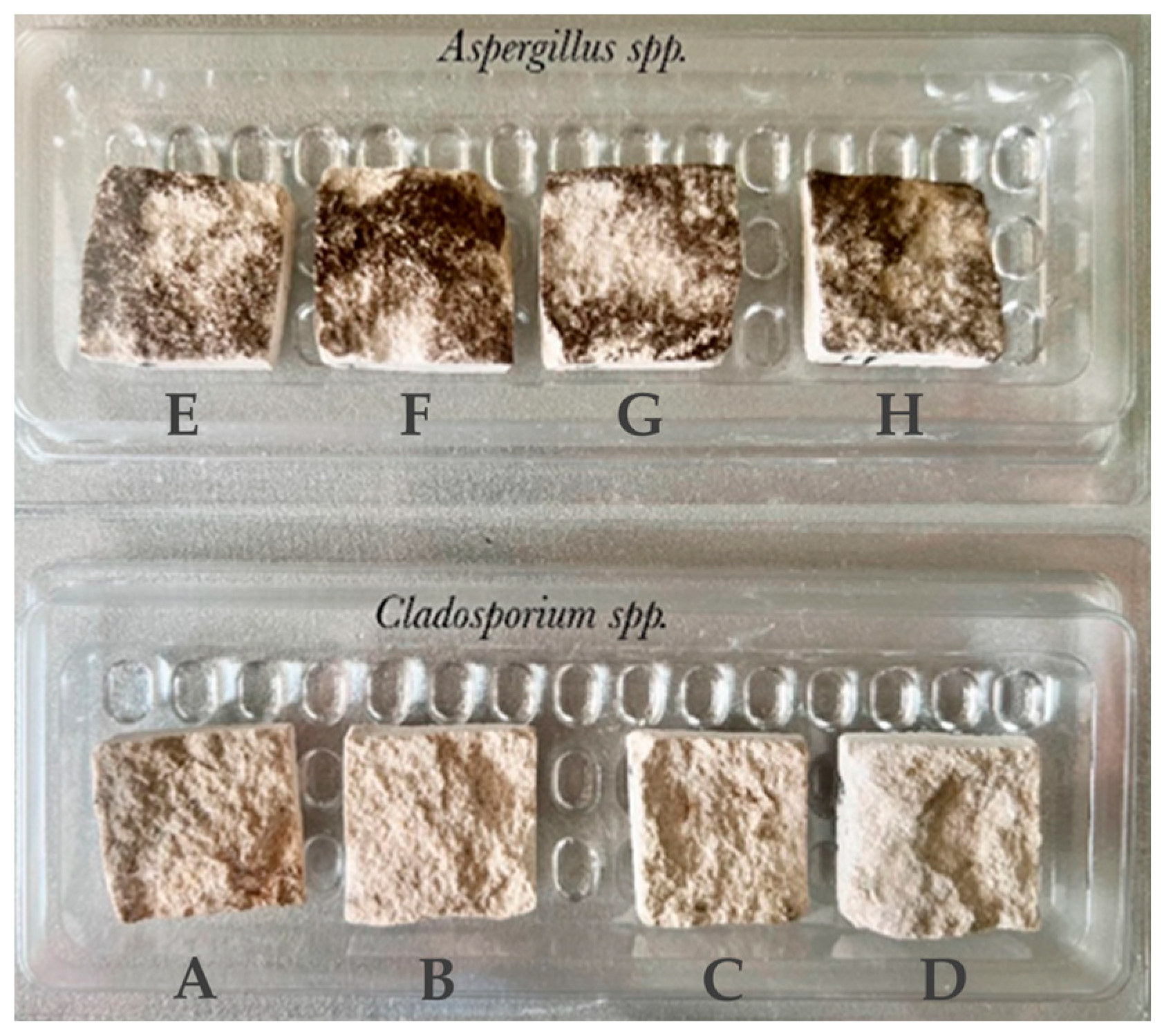 Minerals 13 01170 g005