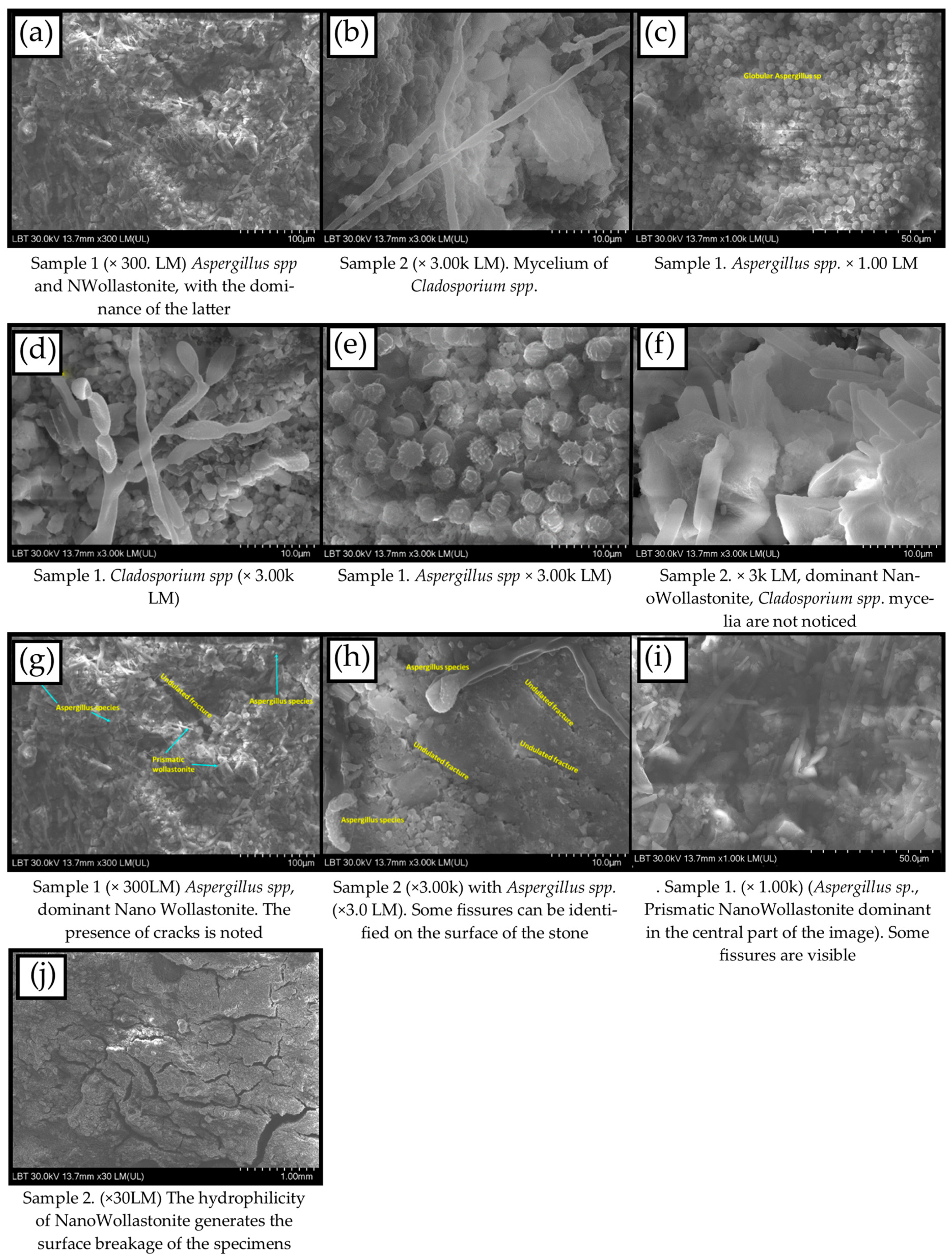 Minerals 13 01170 g007
