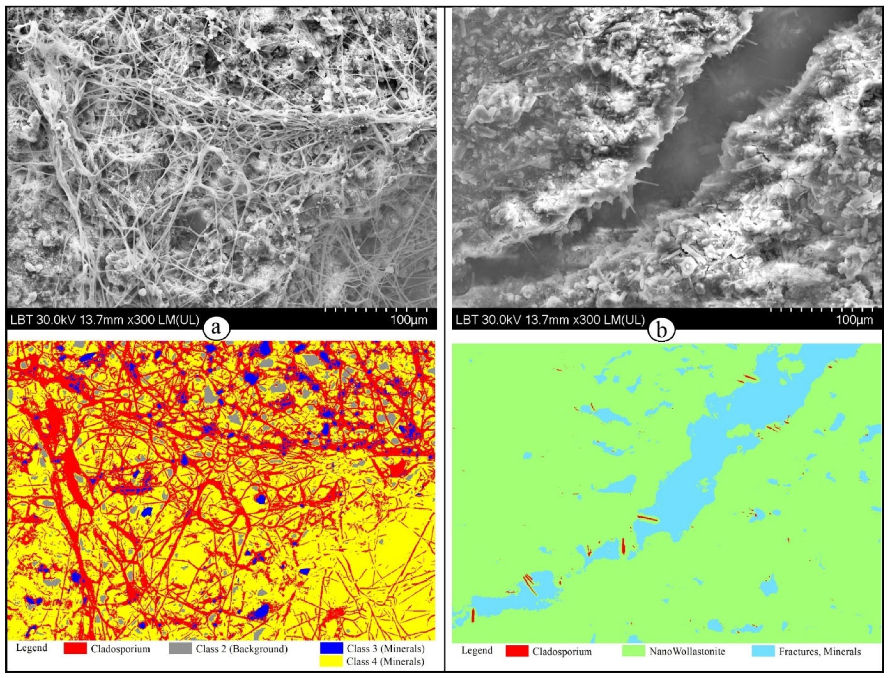 Minerals 13 01170 g011