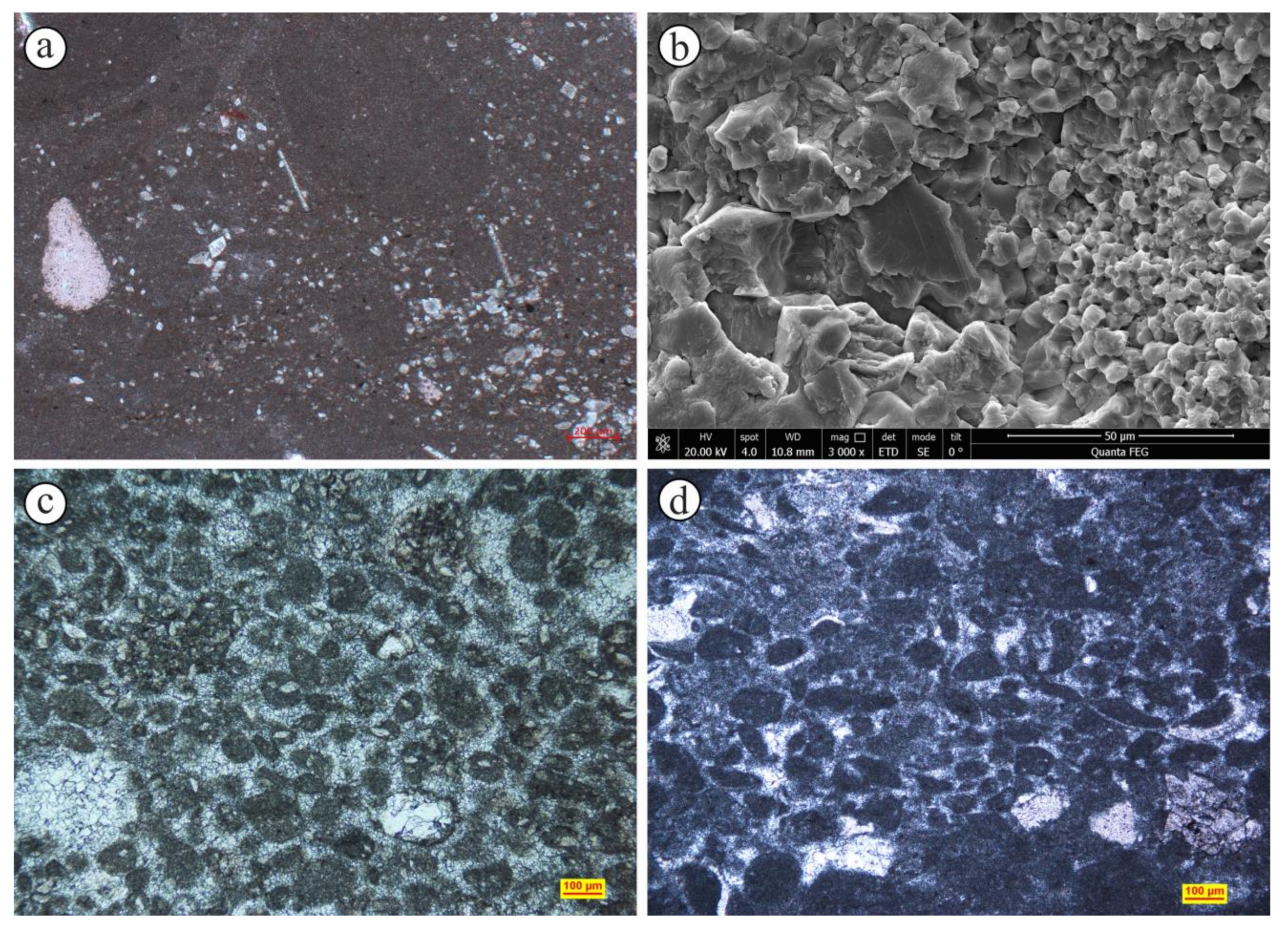 Minerals 13 01172 g005
