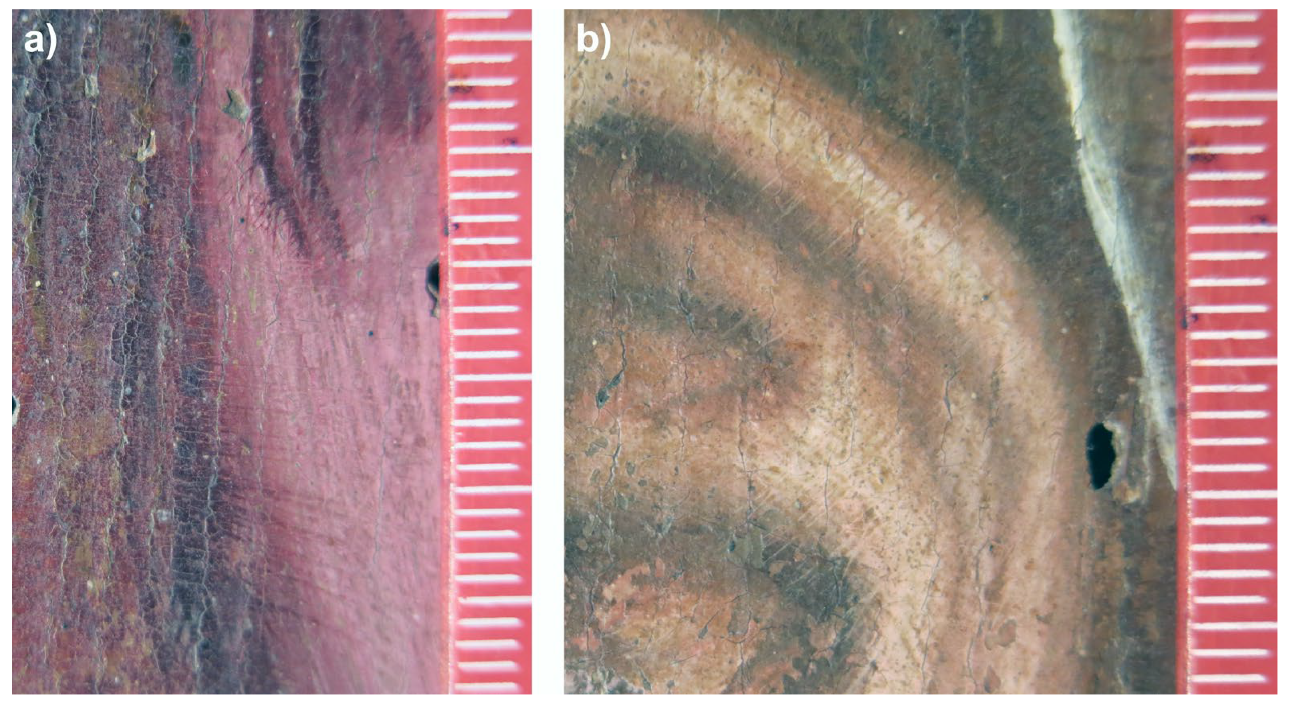 Minerals 13 01182 g008