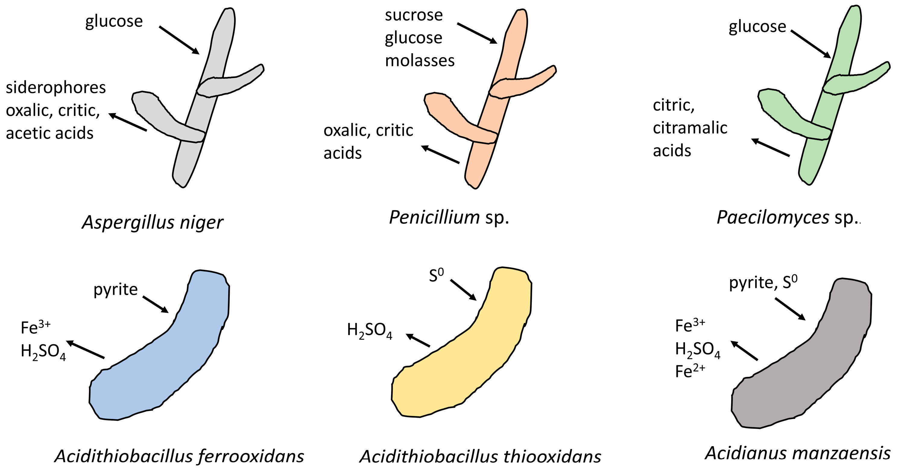 Minerals 13 01186 g002