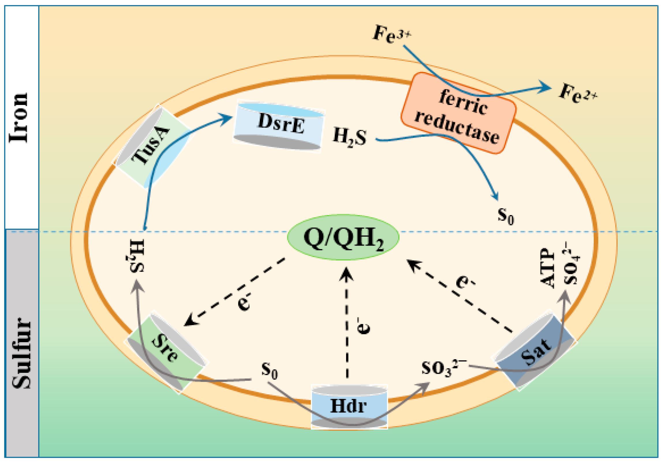 Minerals 13 01192 g001