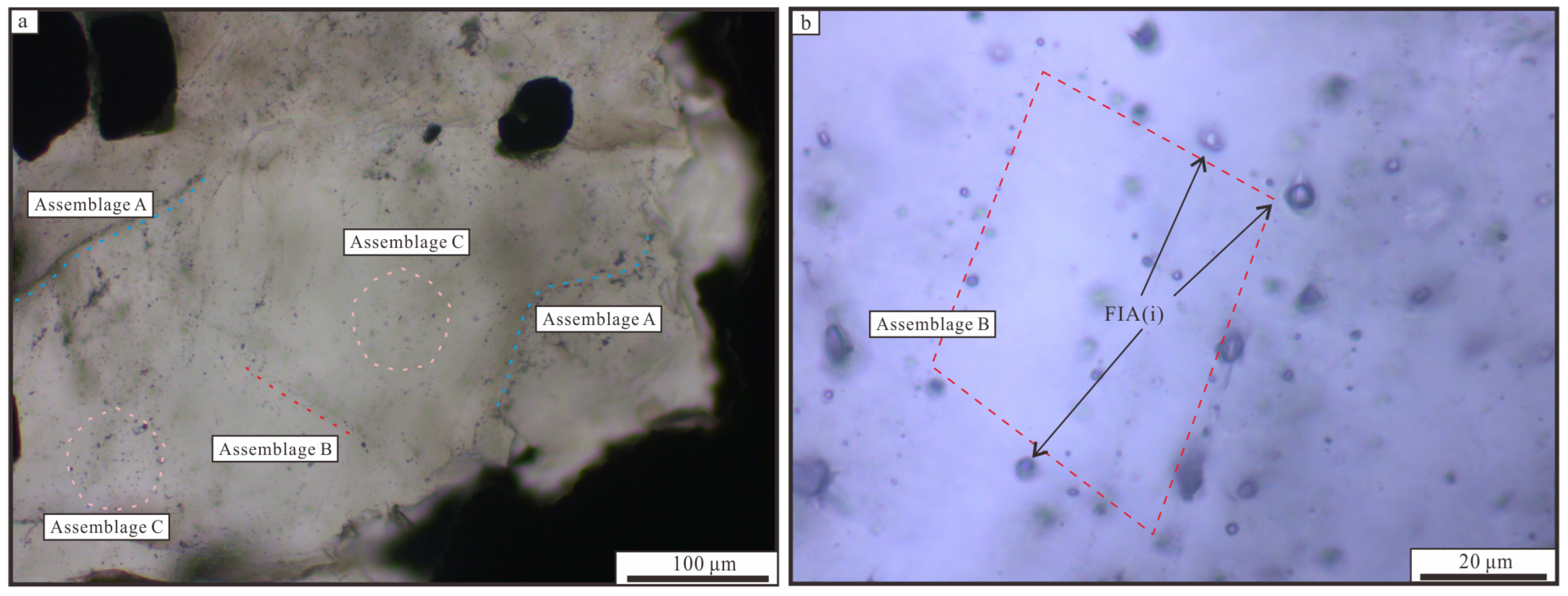 Minerals 13 01210 g008