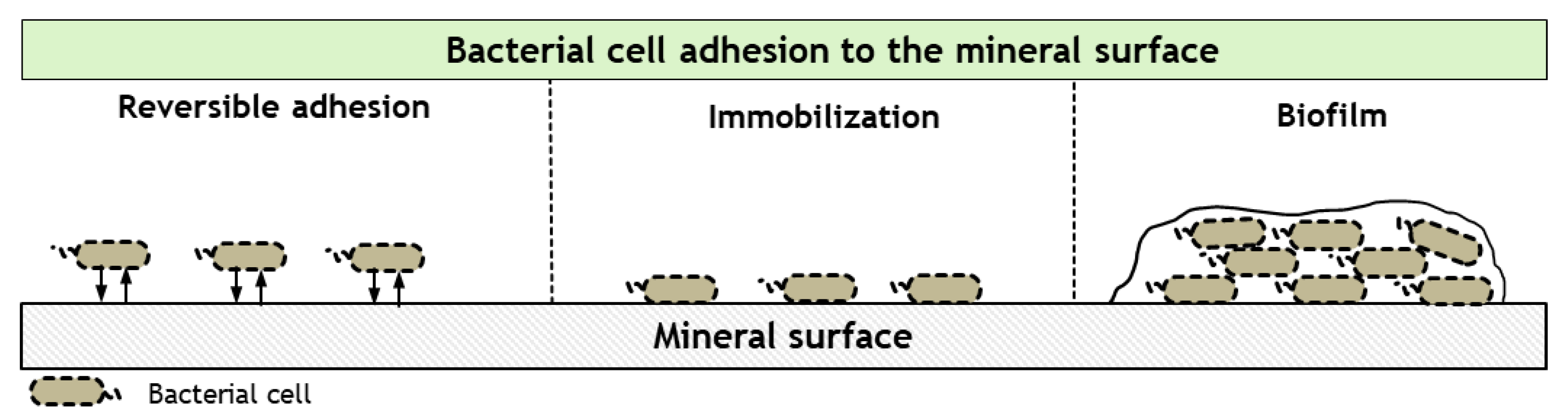 Minerals 13 01246 g002