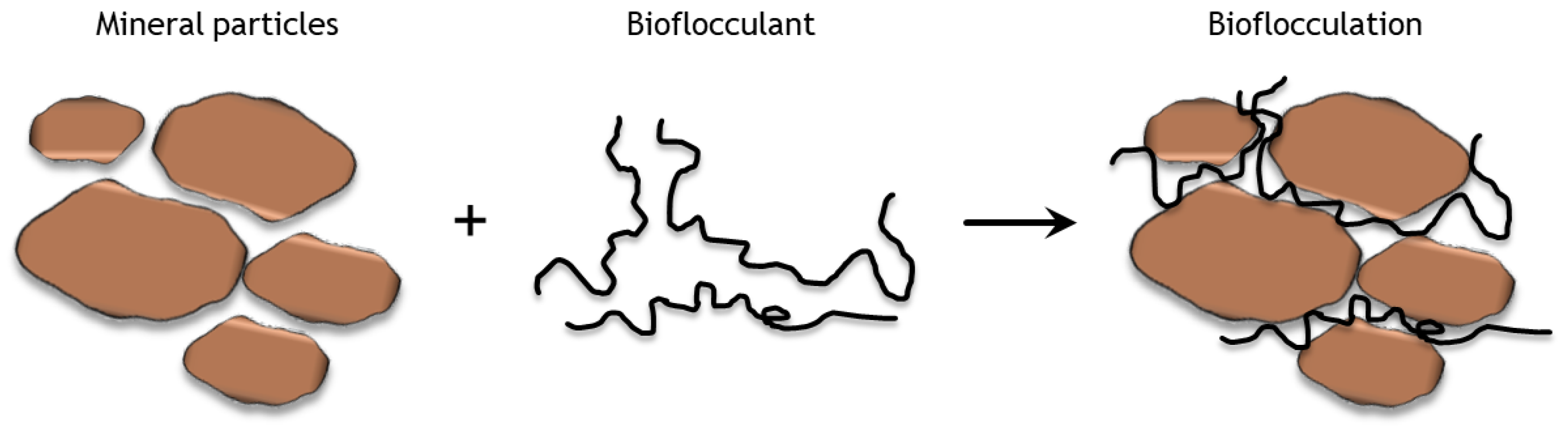Minerals 13 01246 g006
