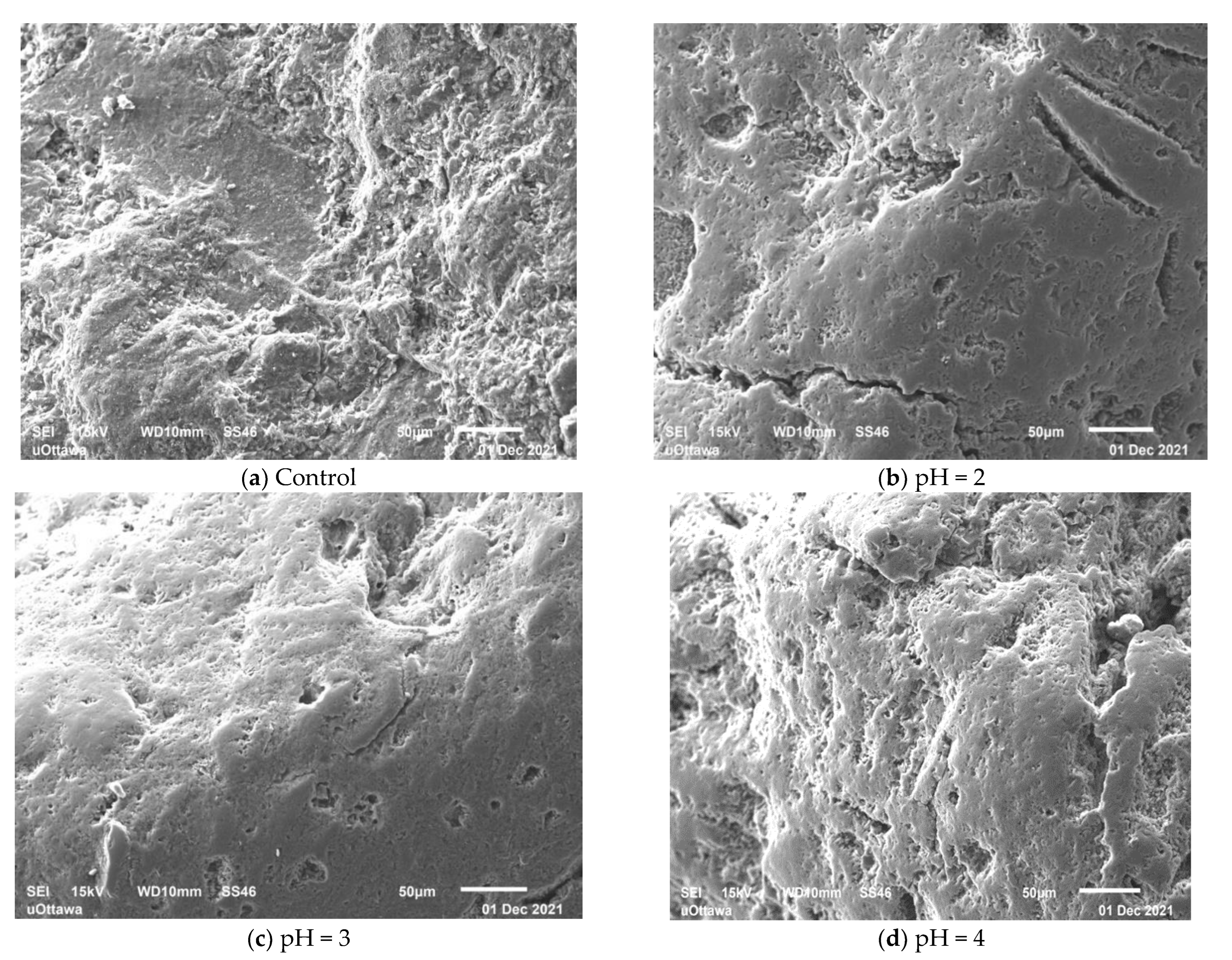 Minerals 13 01247 g007