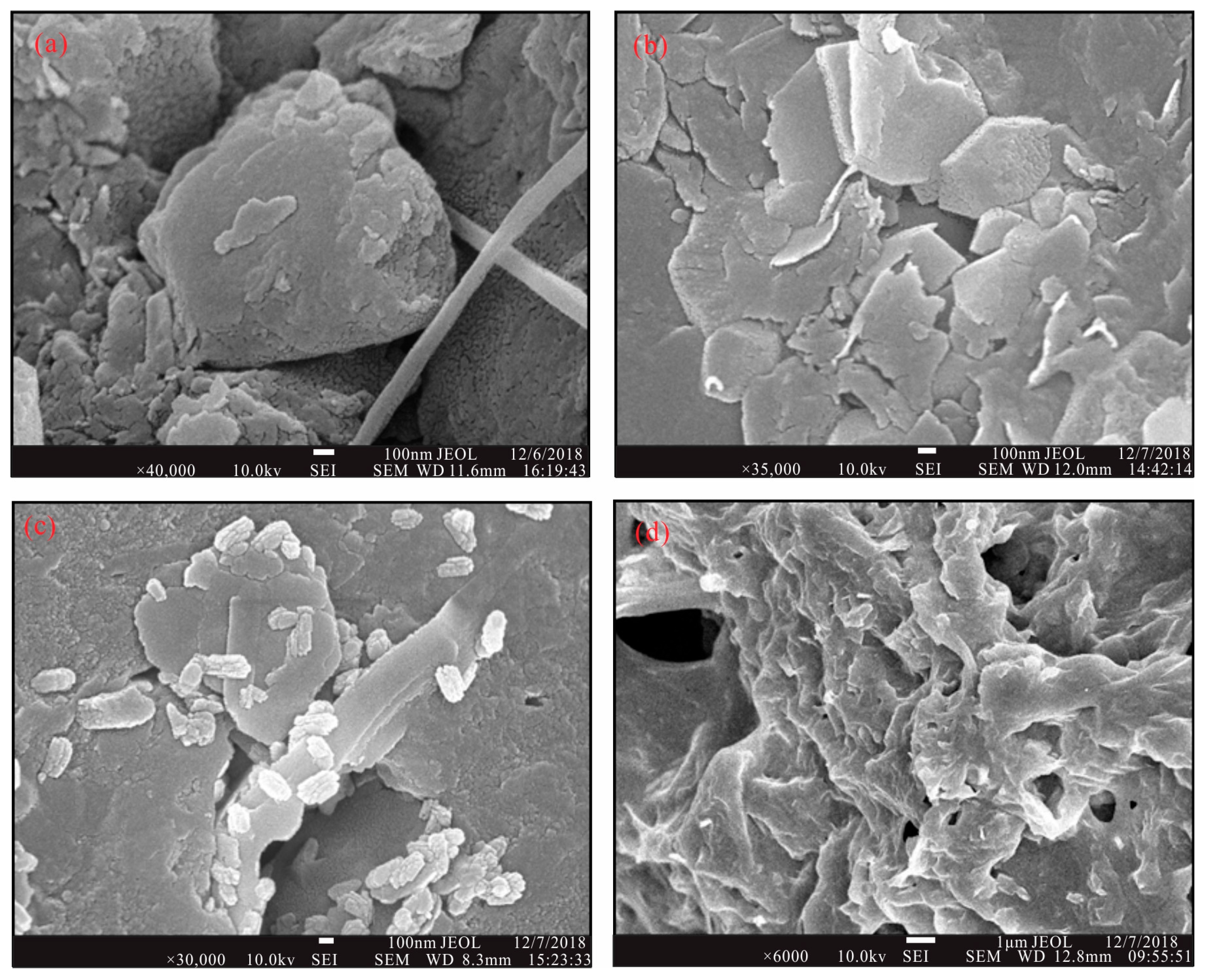 Minerals 13 01258 g005