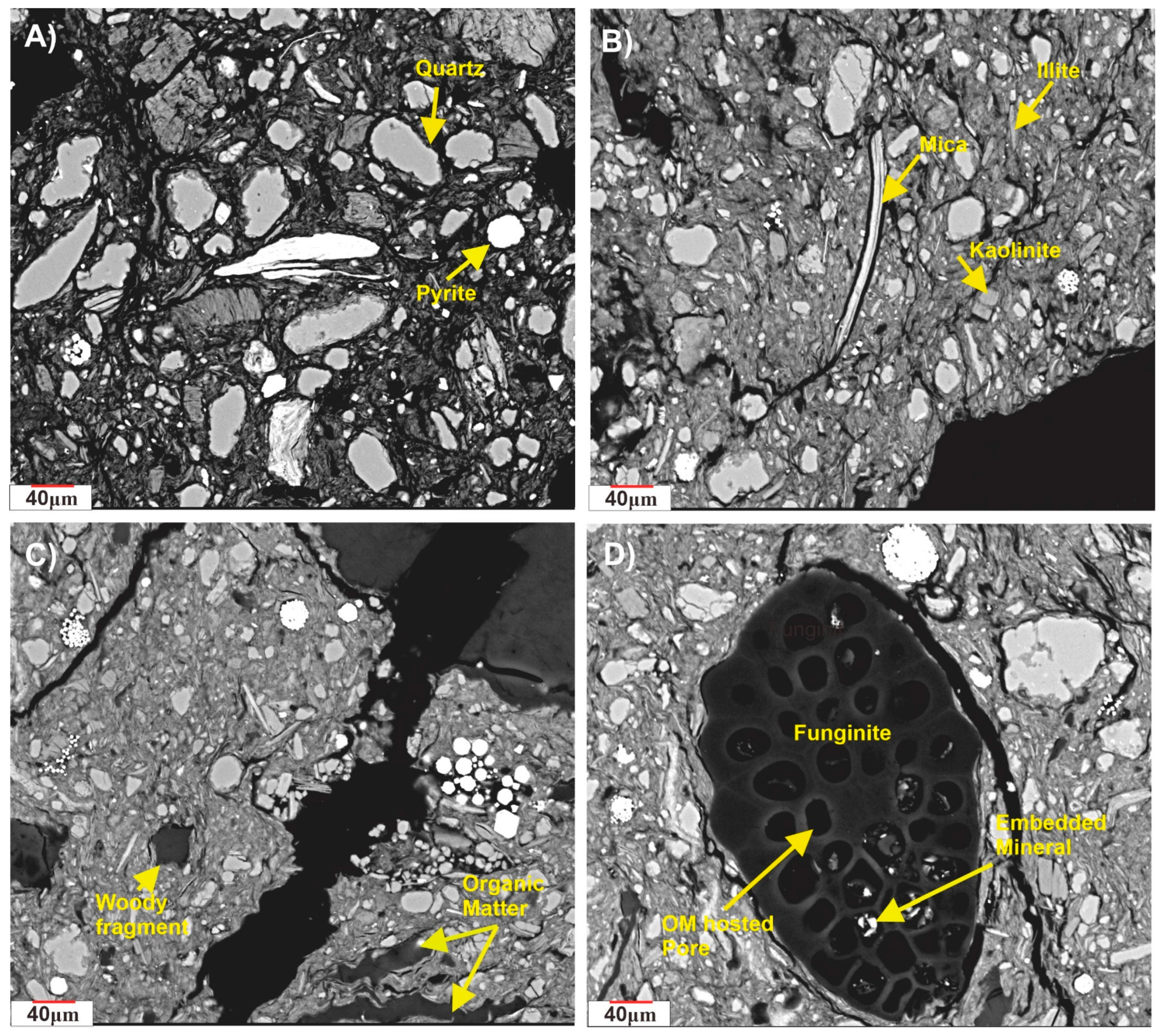 Minerals 13 01259 g007