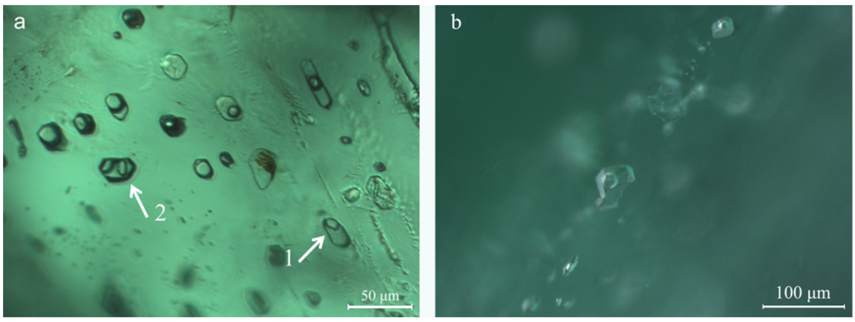 Minerals 13 01260 g007
