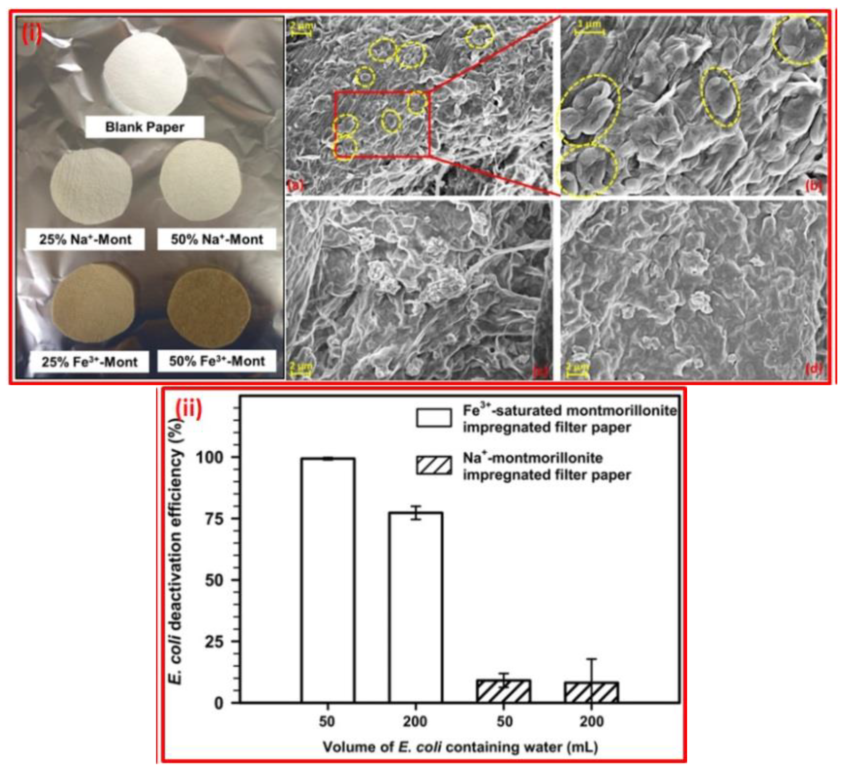 Minerals 13 01268 g010