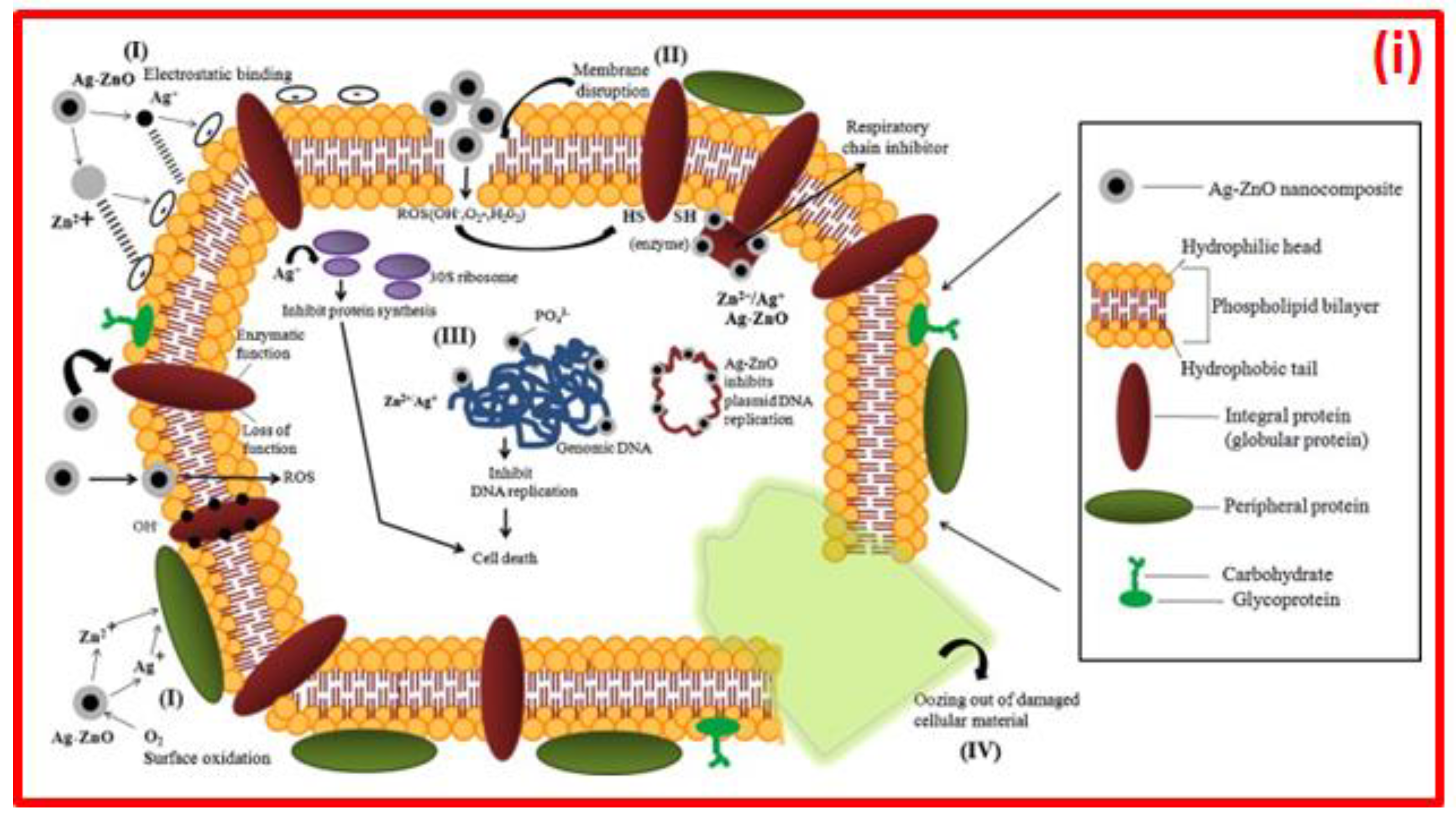 Minerals 13 01268 g012