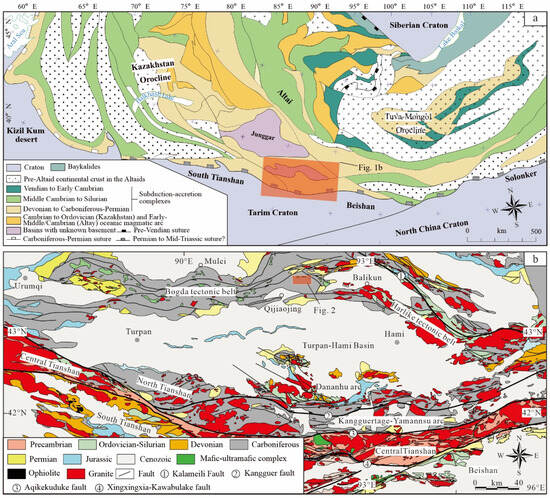 売り切れ必至！ The by Induced Complex Mafic–Ultramafic Carboniferous Late その他