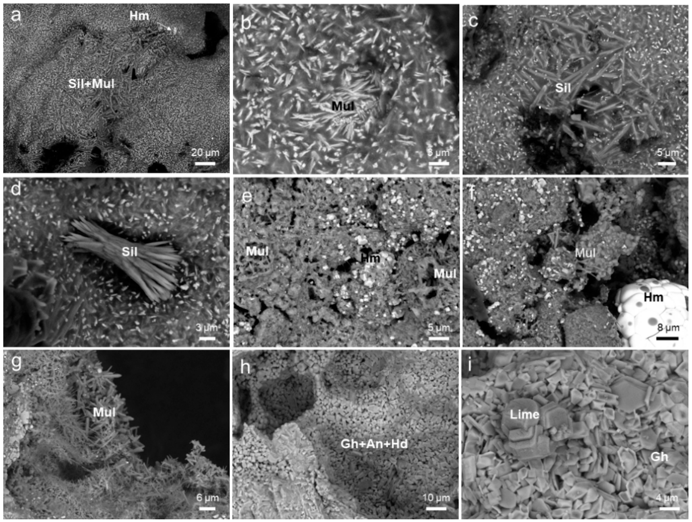 Minerals 13 01294 g012