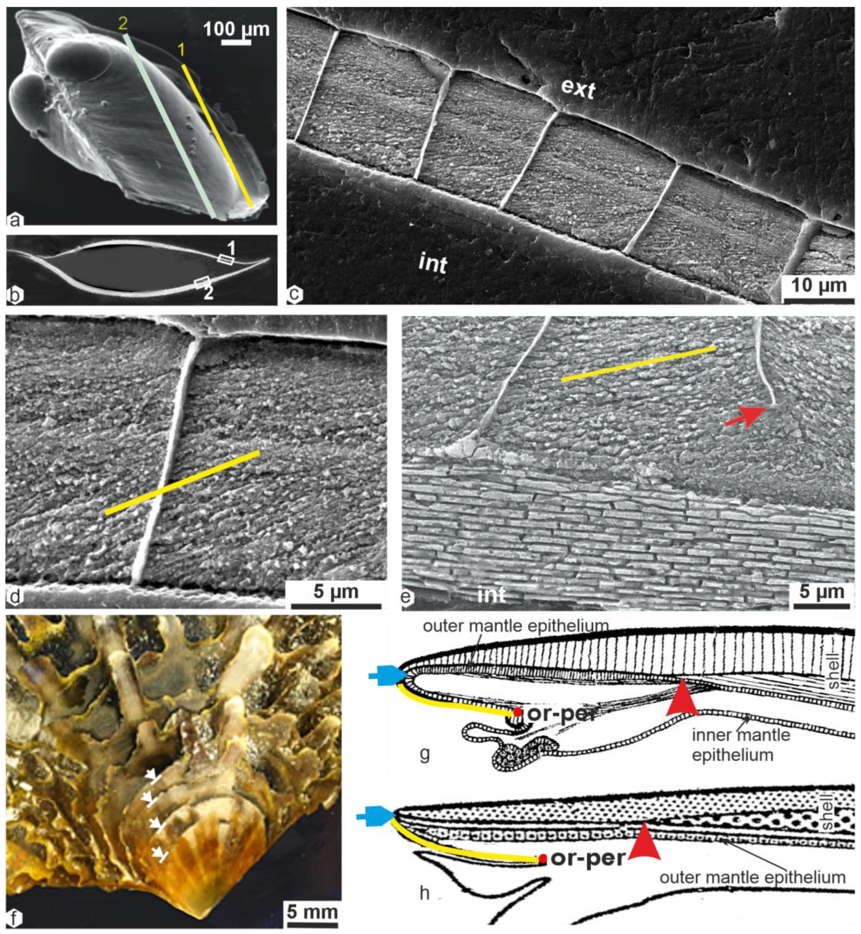 Minerals 13 01301 g002