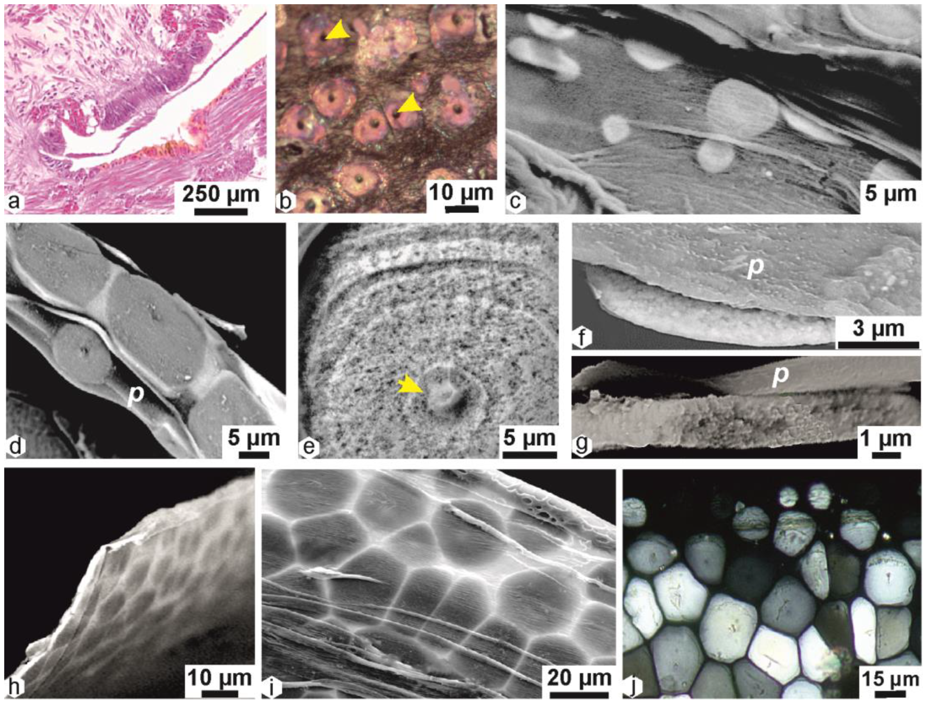 Minerals 13 01301 g003