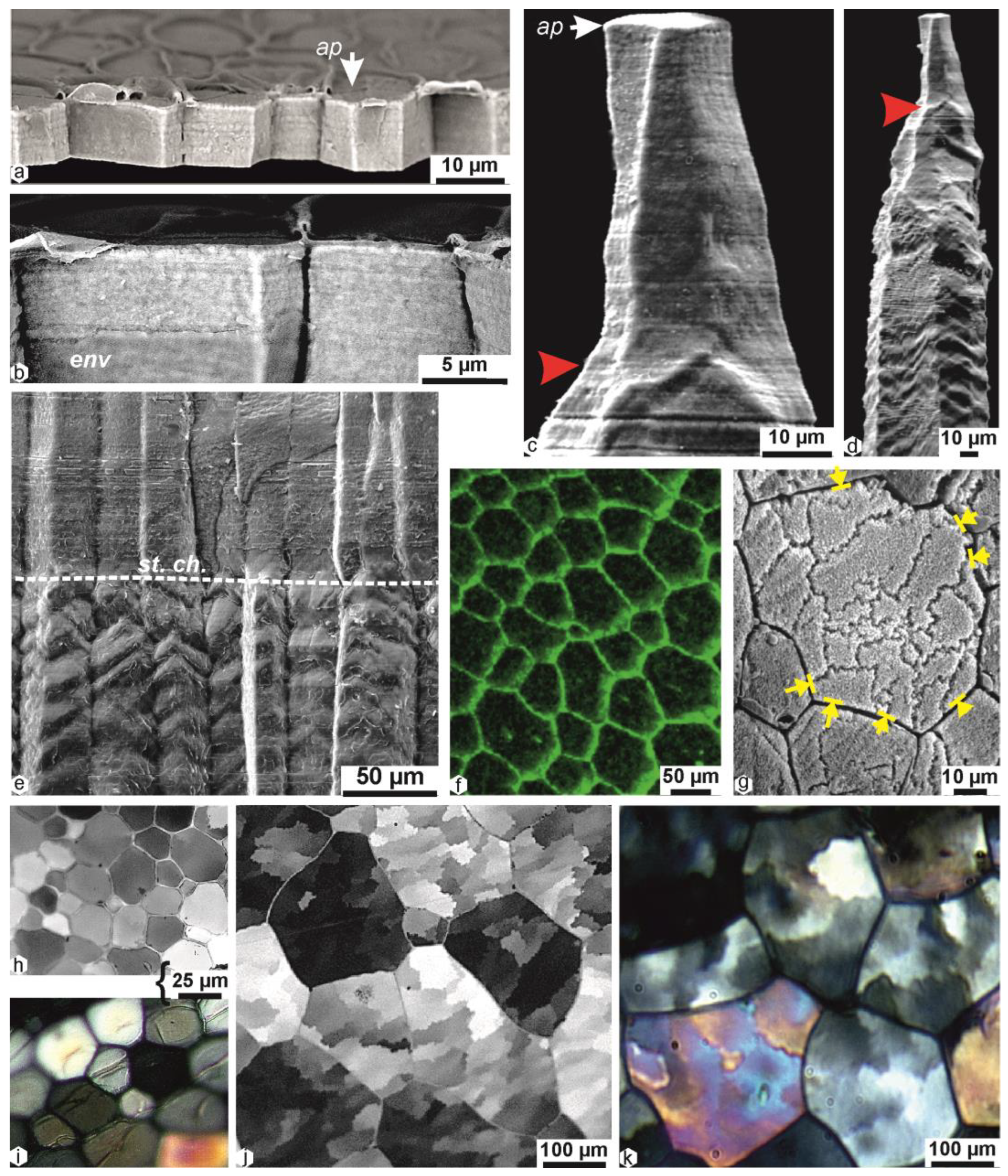 Minerals 13 01301 g005