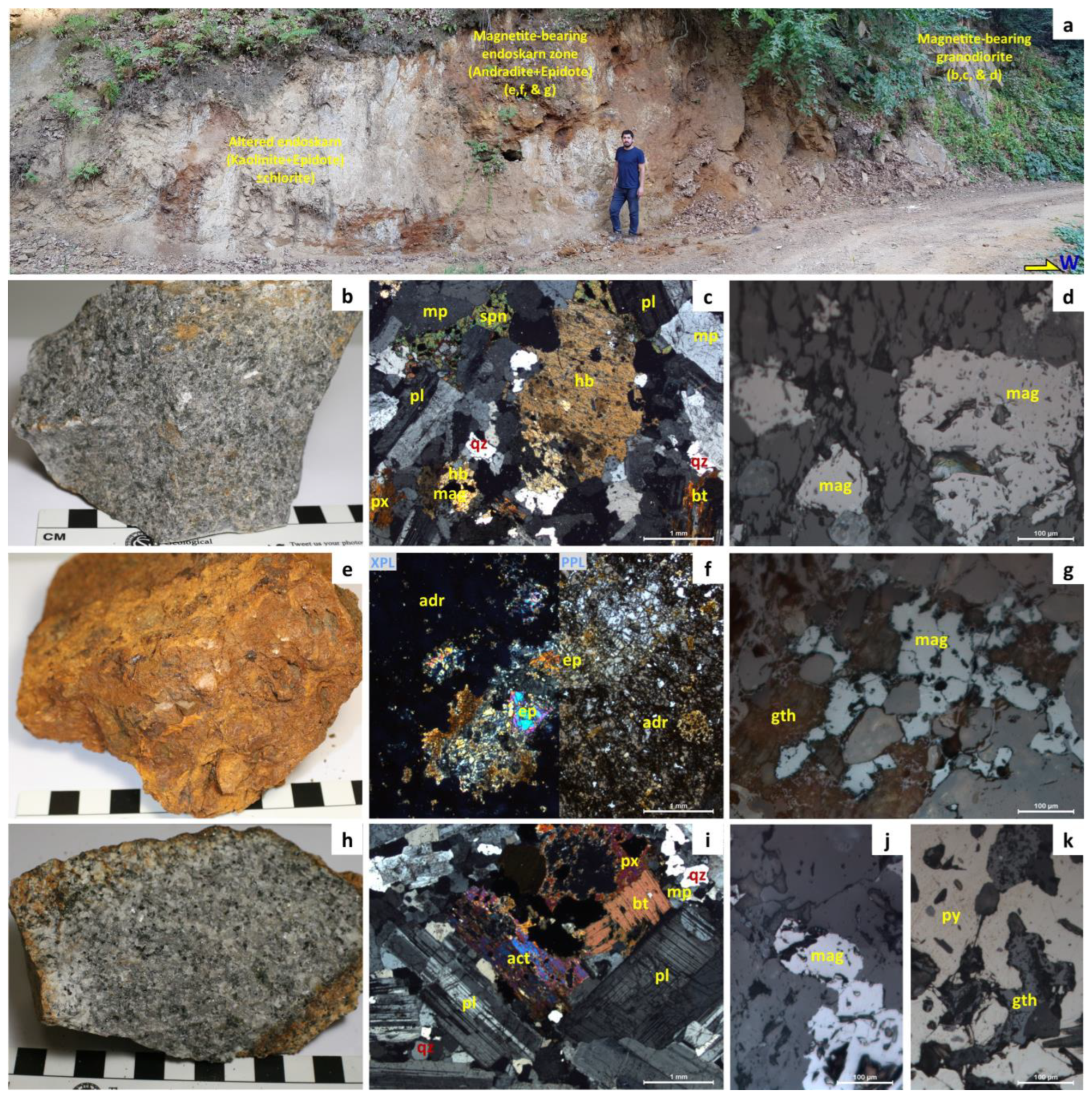 Minerals 13 01304 g006