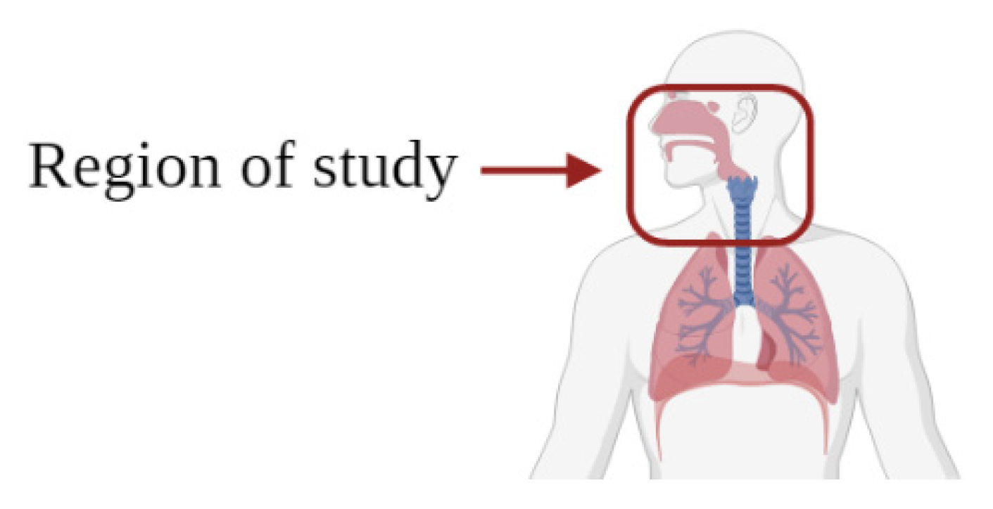 Minerals 13 01311 g006