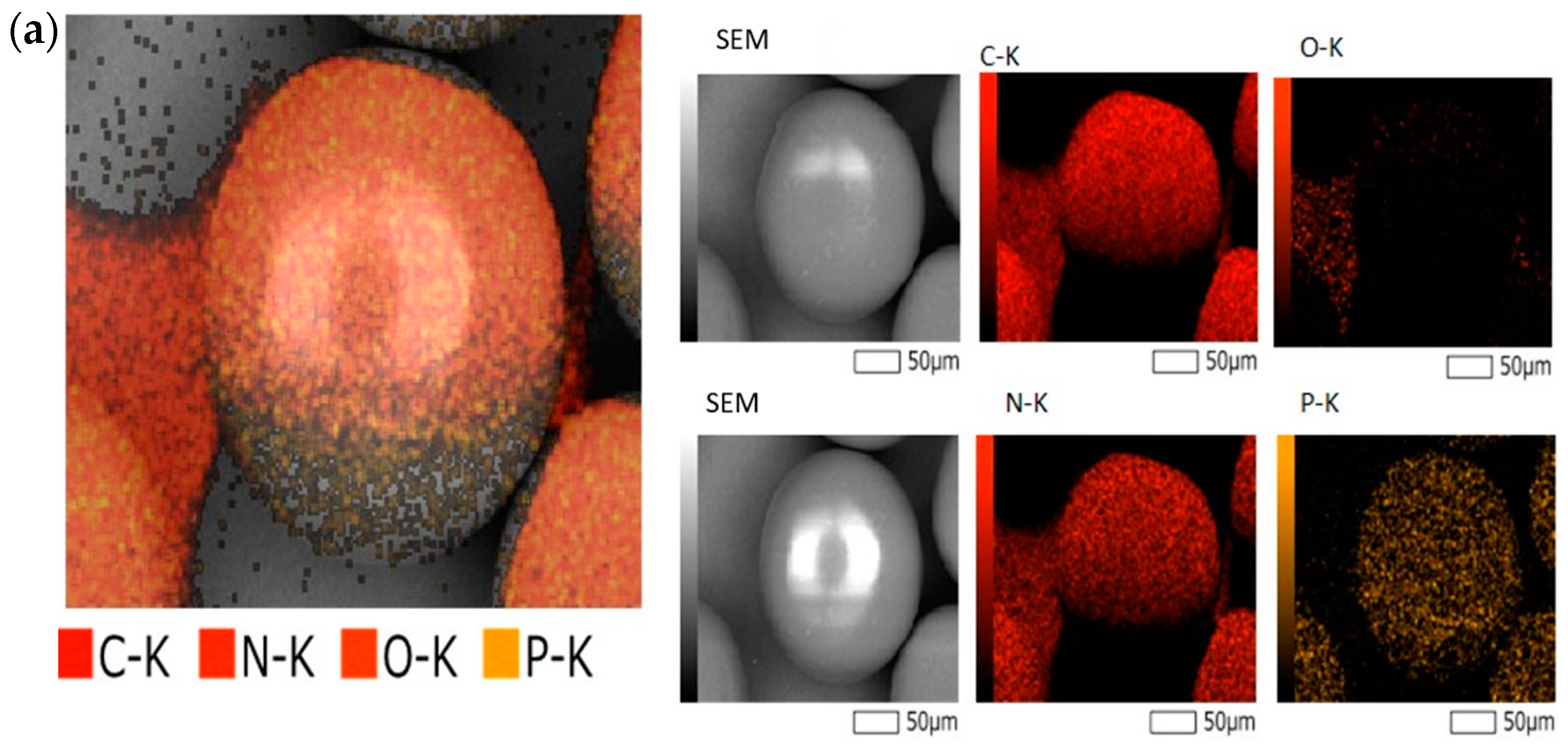 Minerals 13 01330 g001a