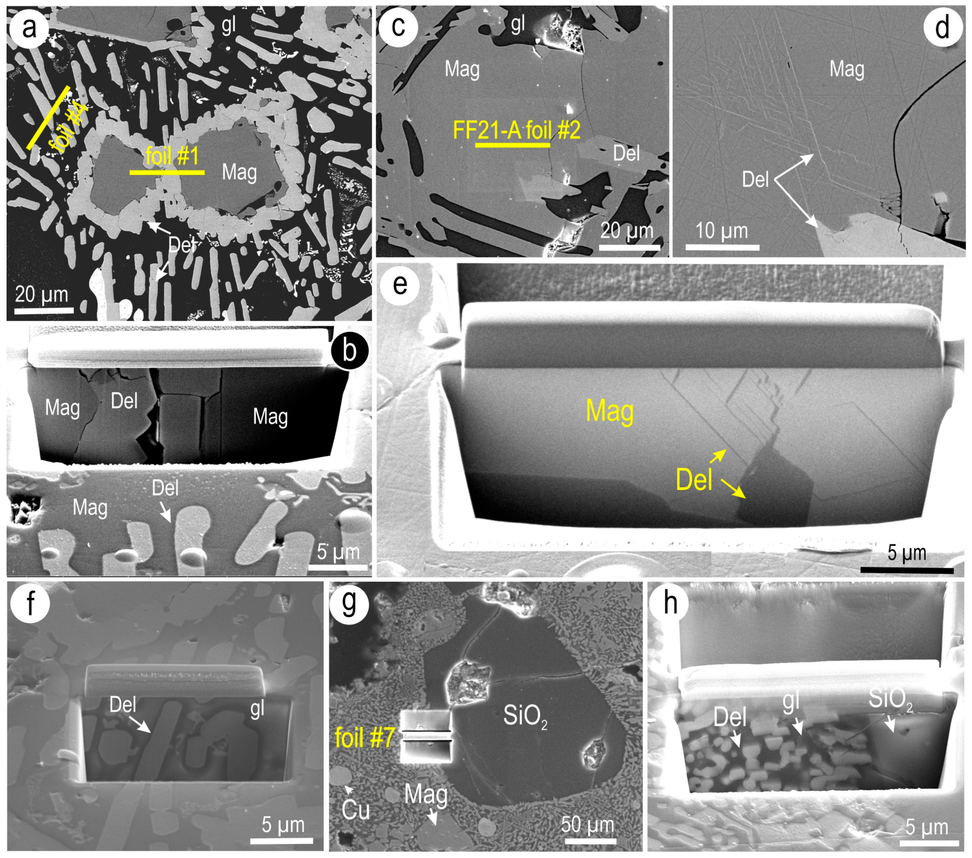 Minerals 13 01374 g007