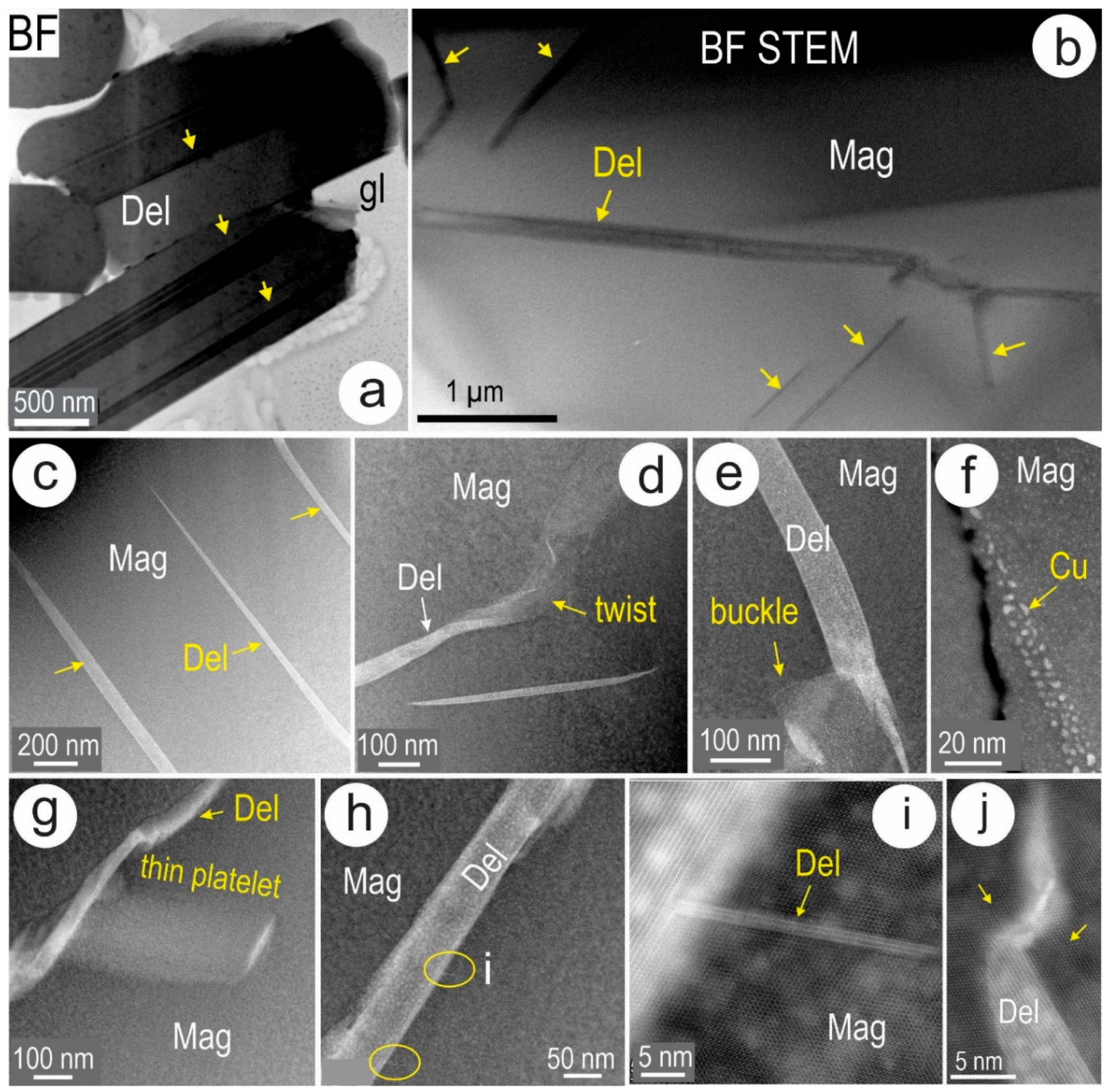 Minerals 13 01374 g010