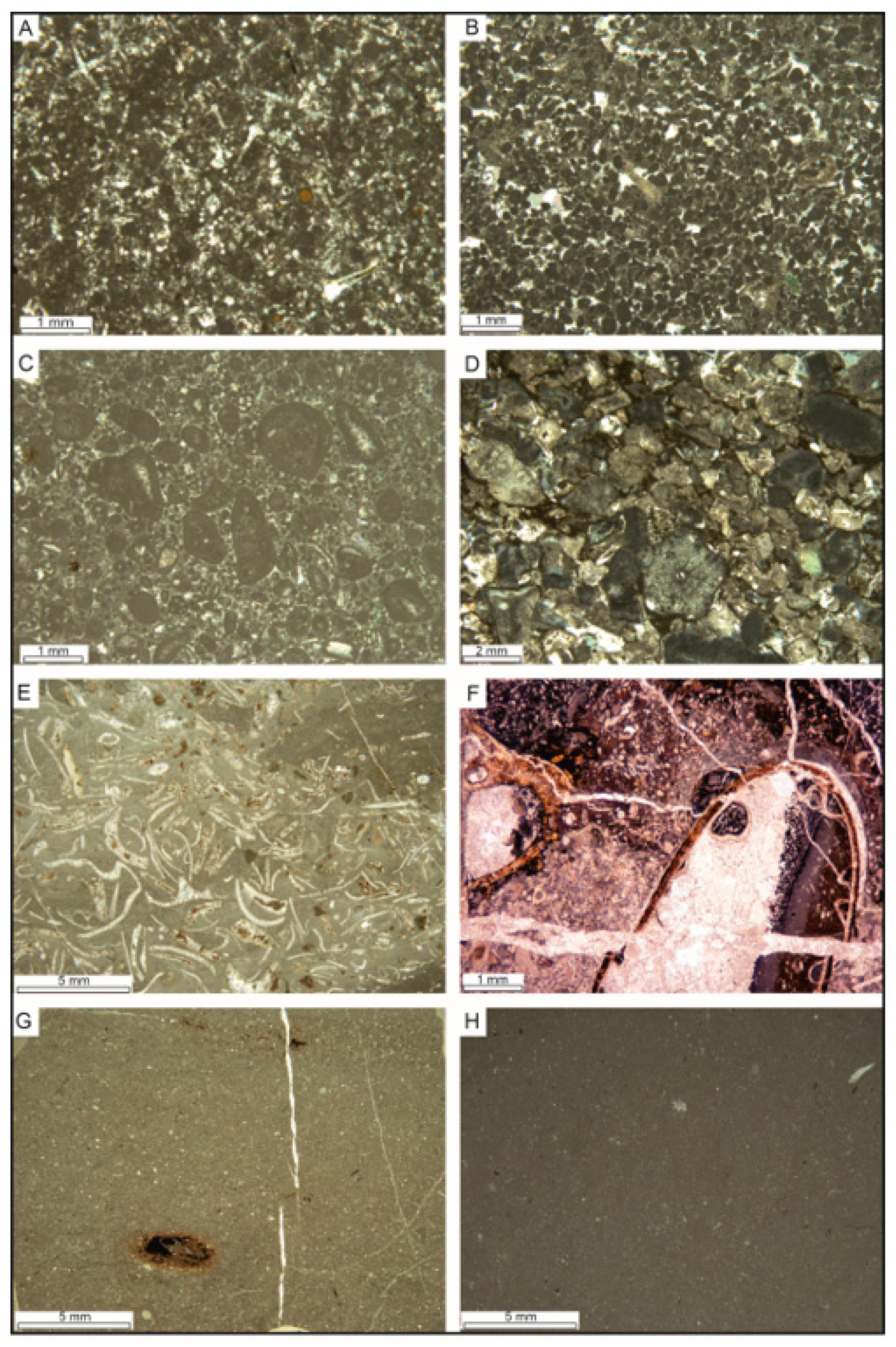 Minerals 13 01386 g004