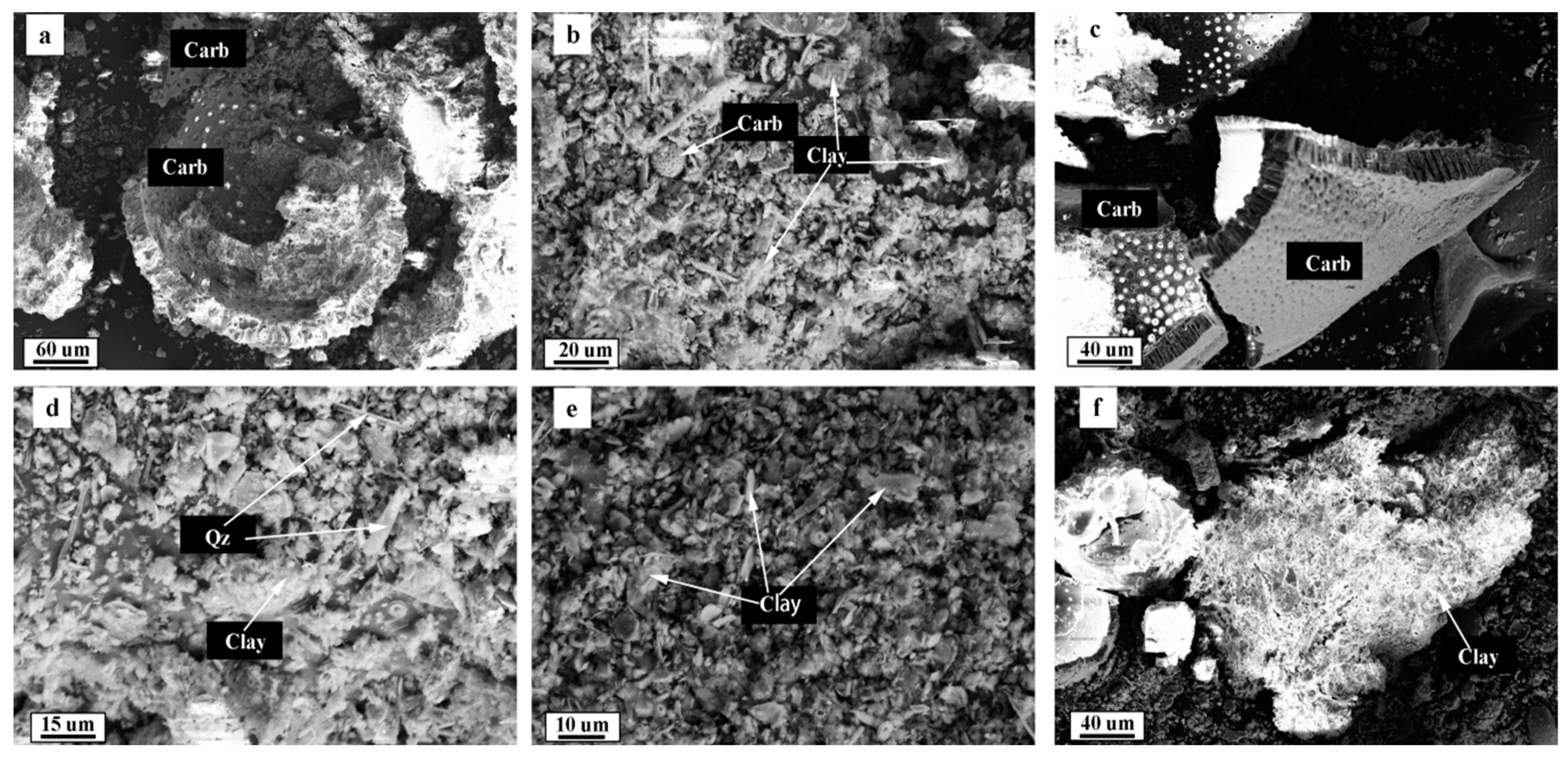 Minerals 13 01419 g004