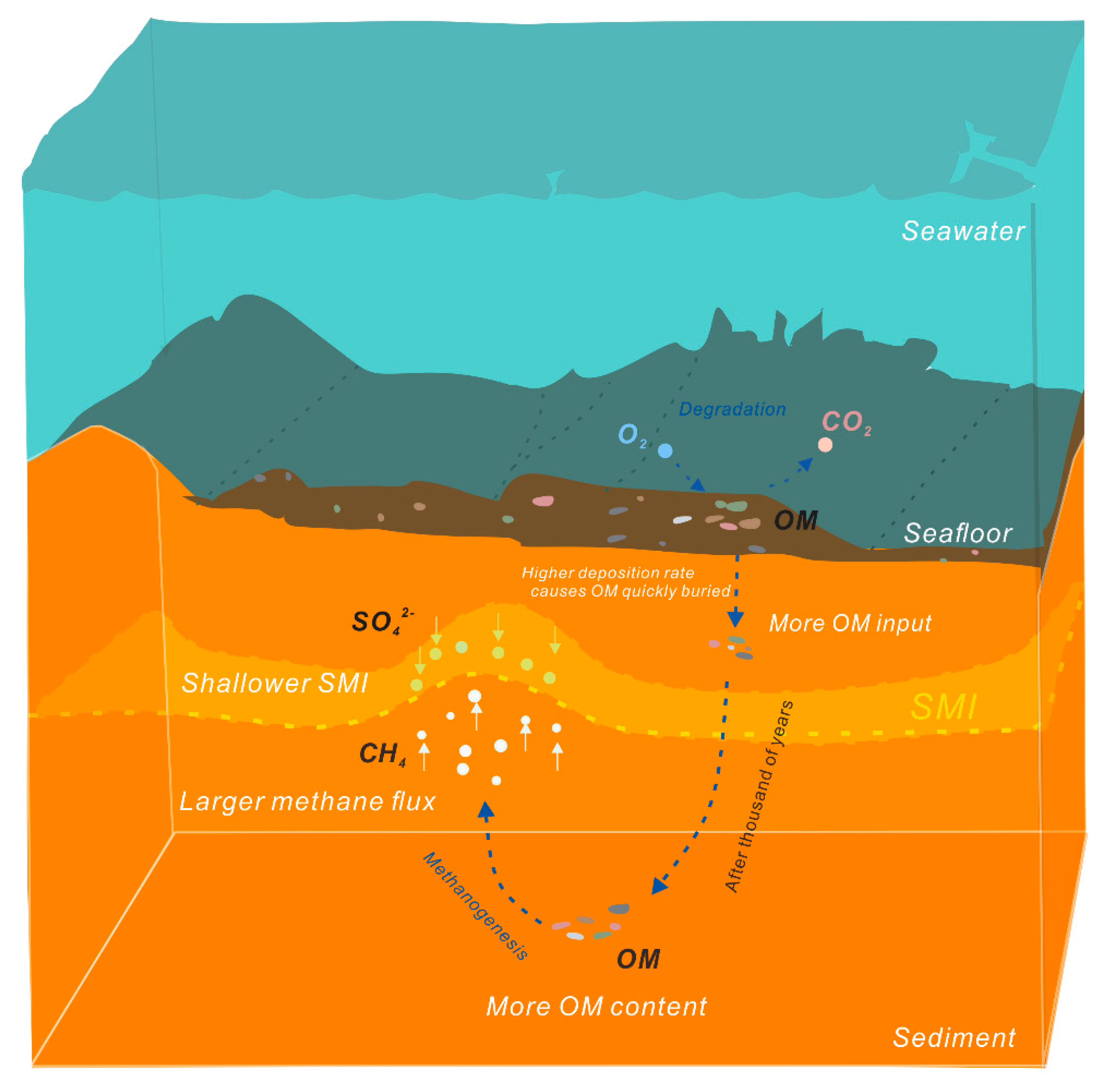 Minerals 13 01419 g011