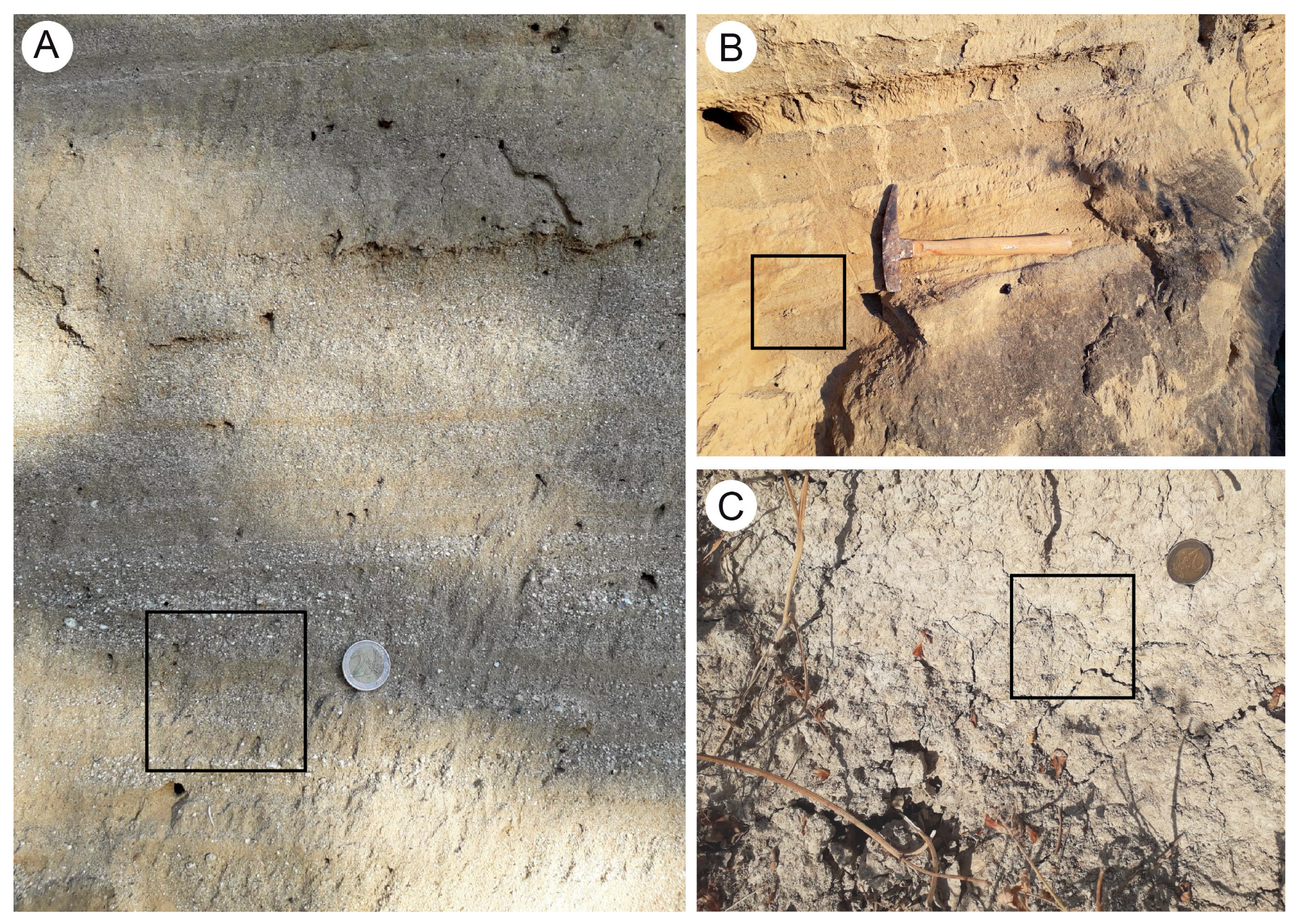 Minerals 13 01422 g004