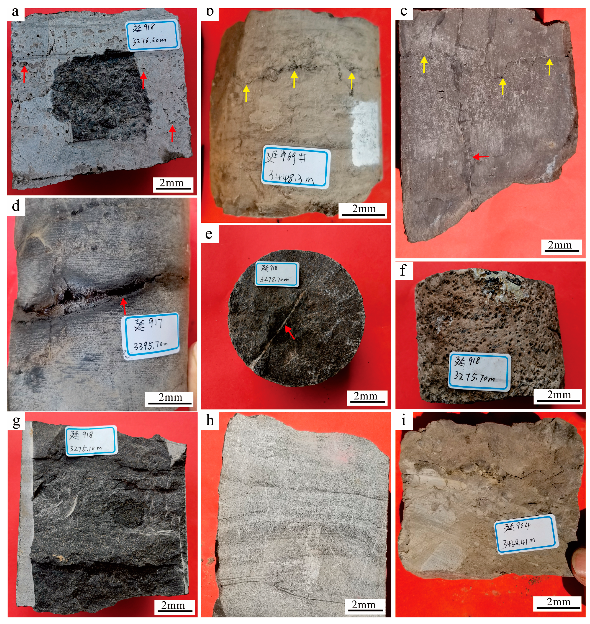 Minerals 13 01425 g002