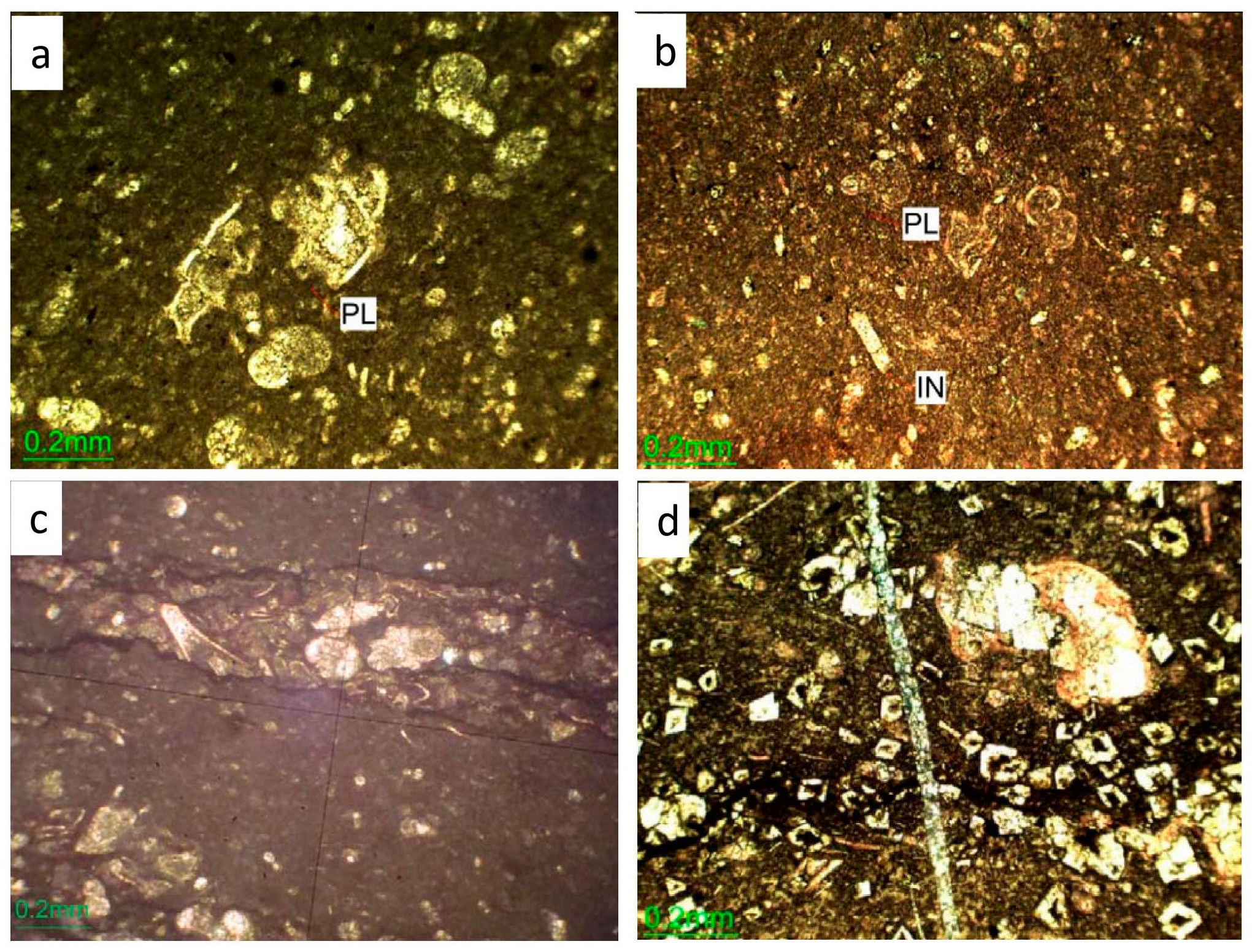 Minerals 13 01438 g005