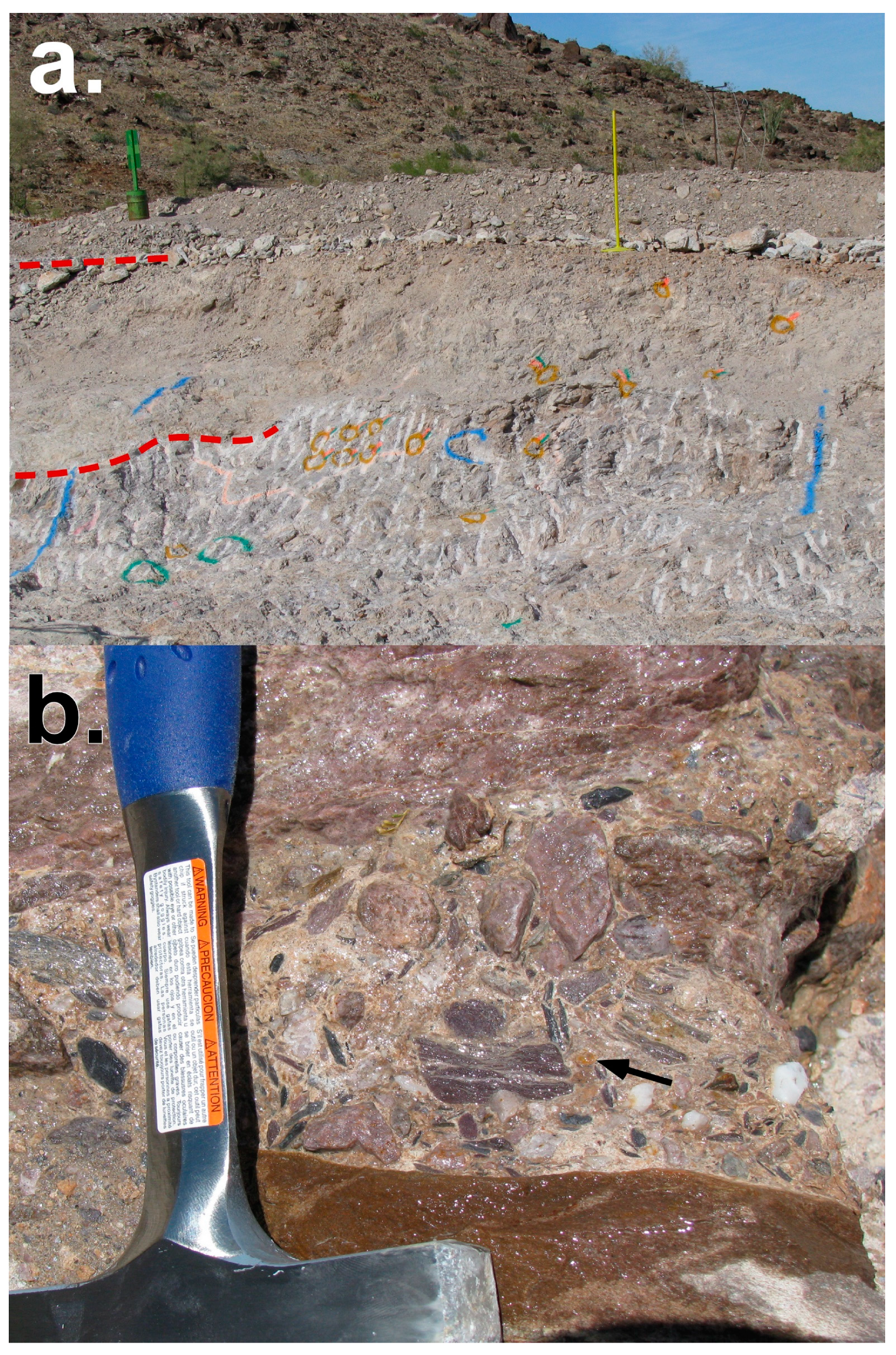 Minerals 13 01444 g005