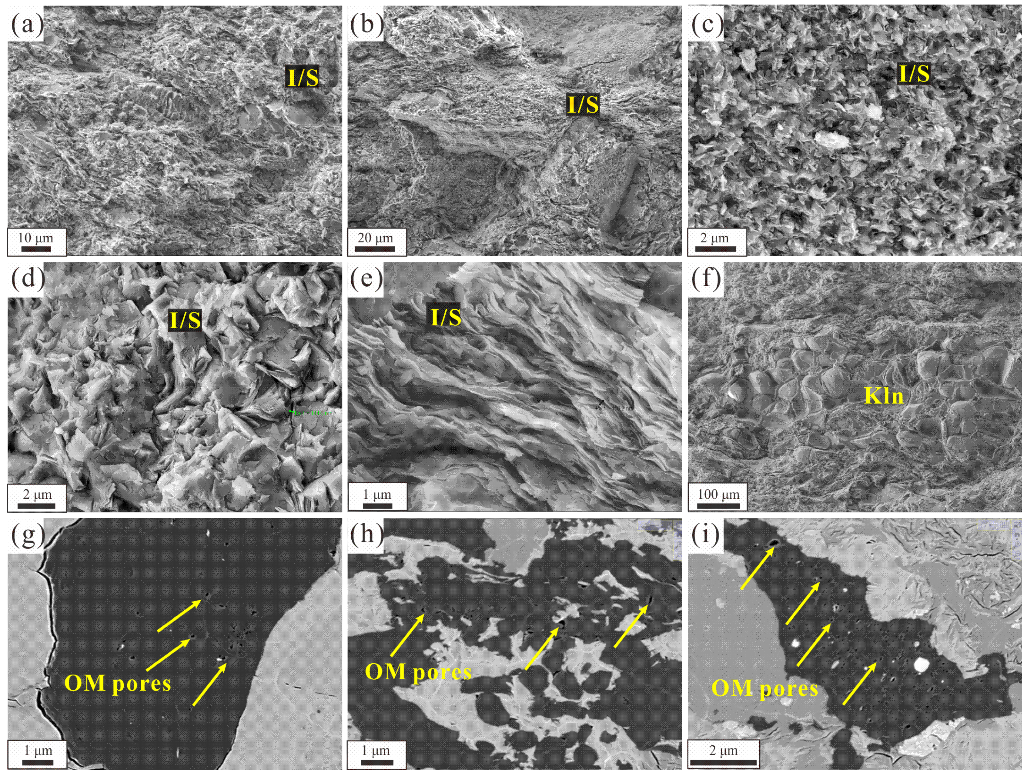 Minerals 13 01451 g008