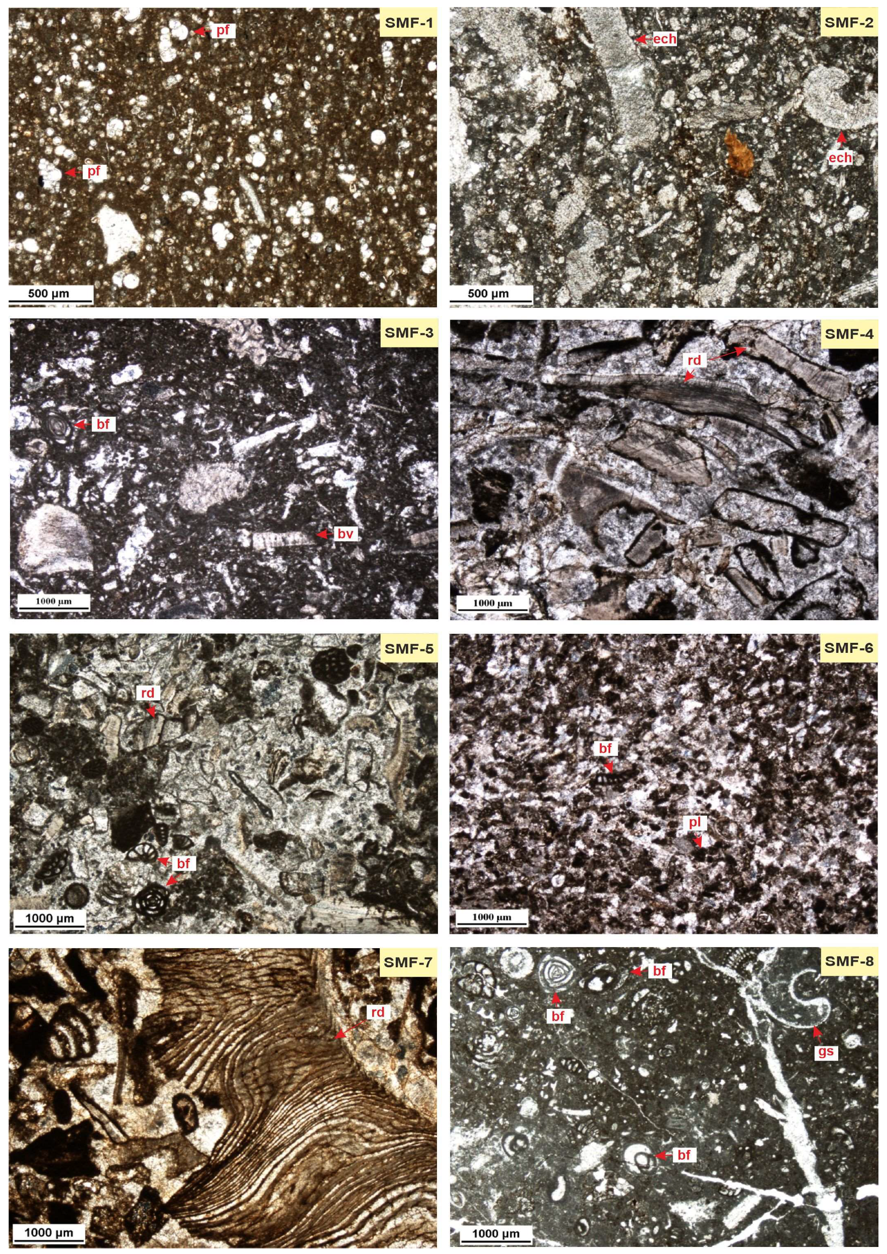 Minerals 13 01464 g002