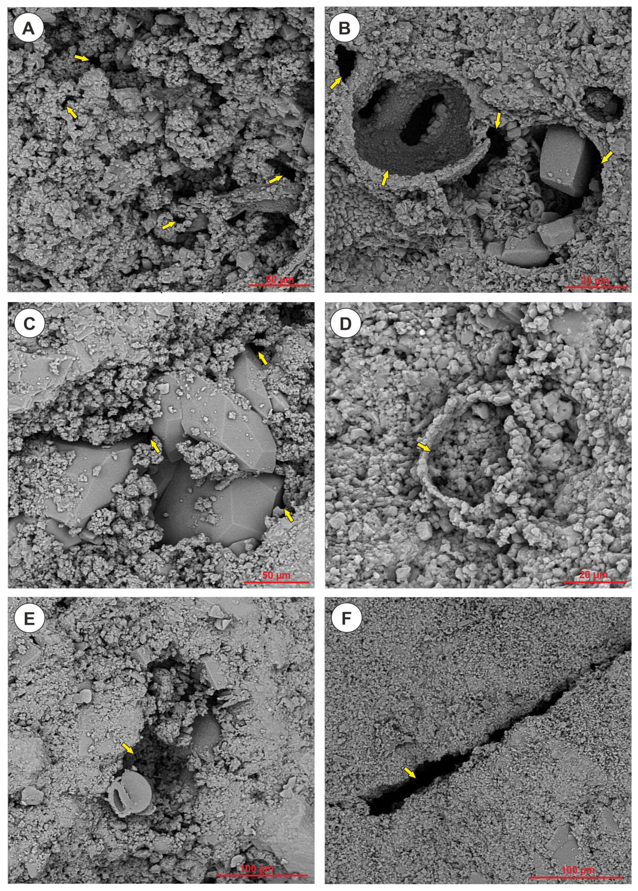 Minerals 13 01464 g008