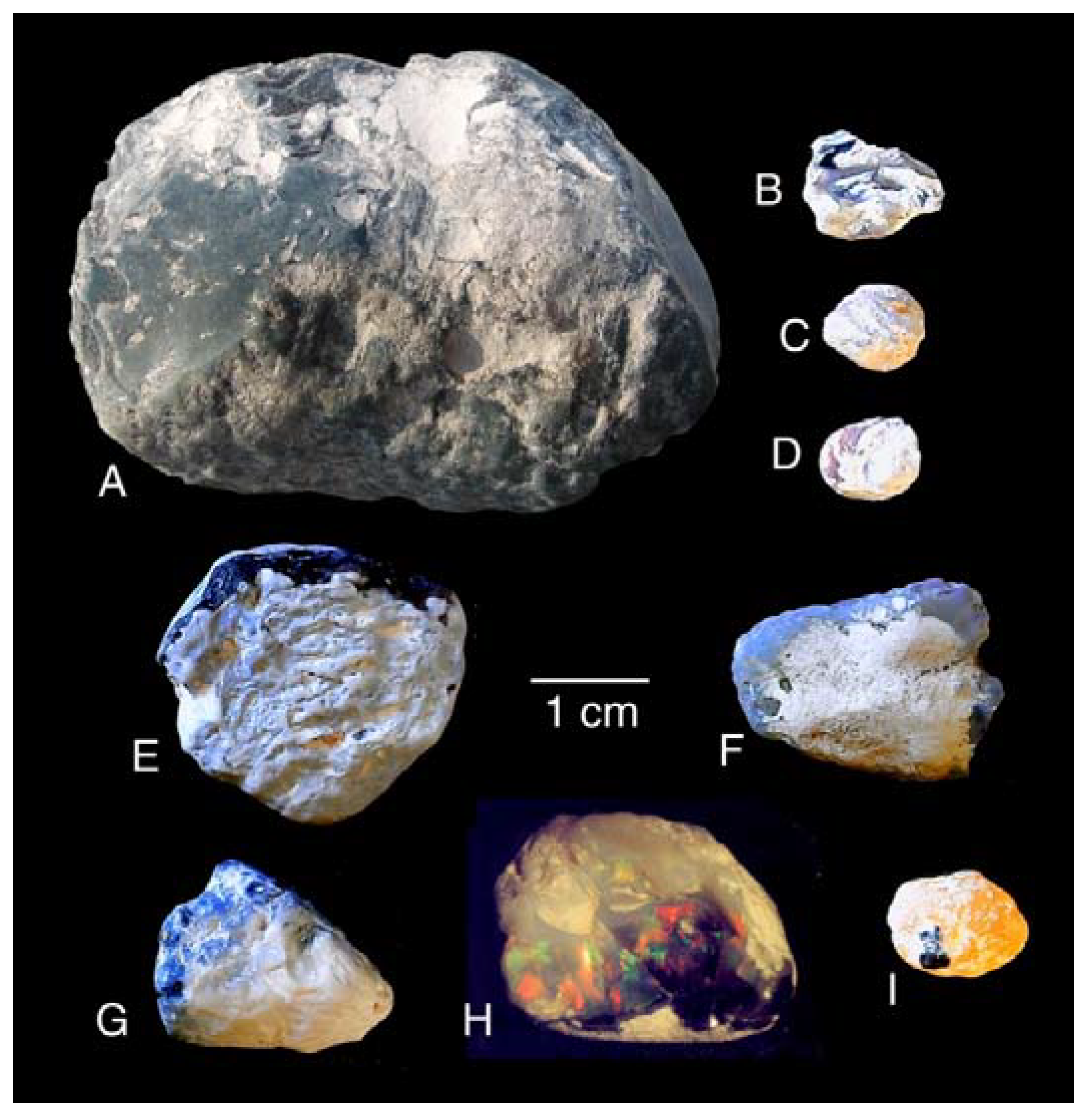 Minerals 13 01471 g004