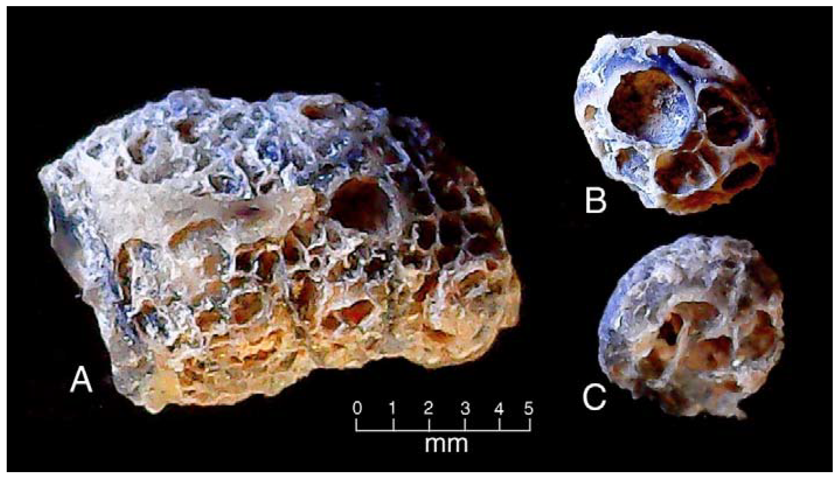 Minerals 13 01471 g006