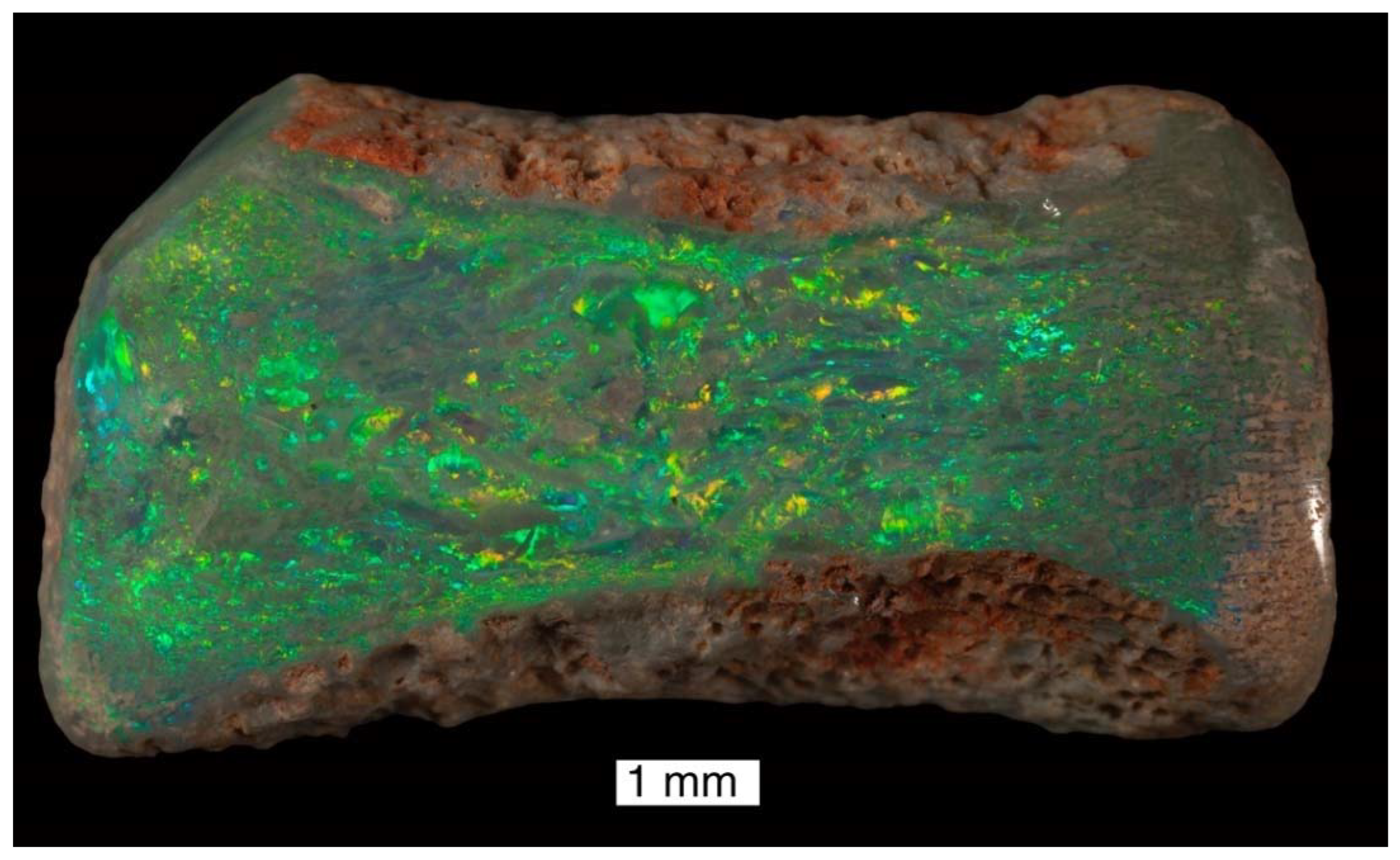 Minerals 13 01471 g007