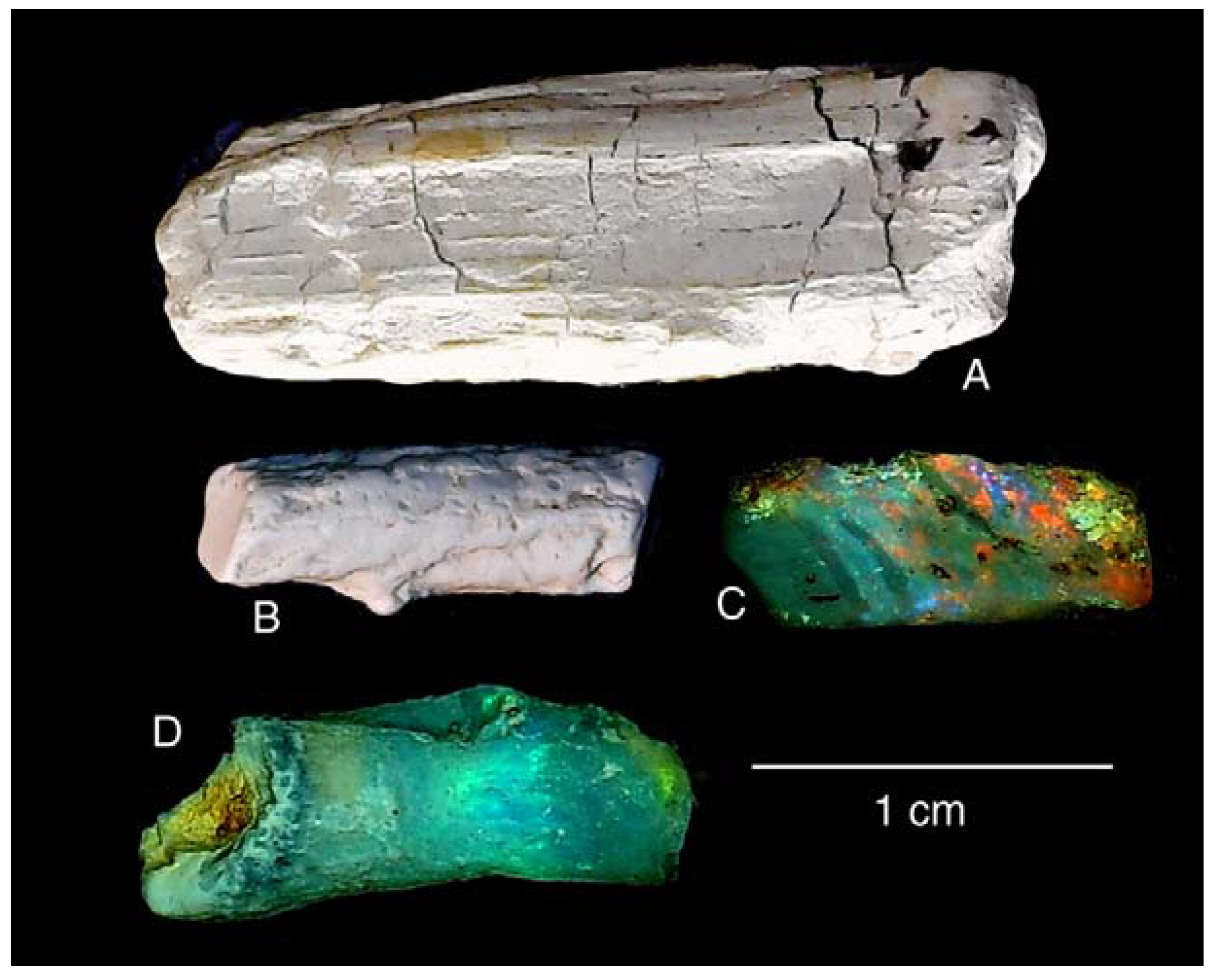 Minerals 13 01471 g008