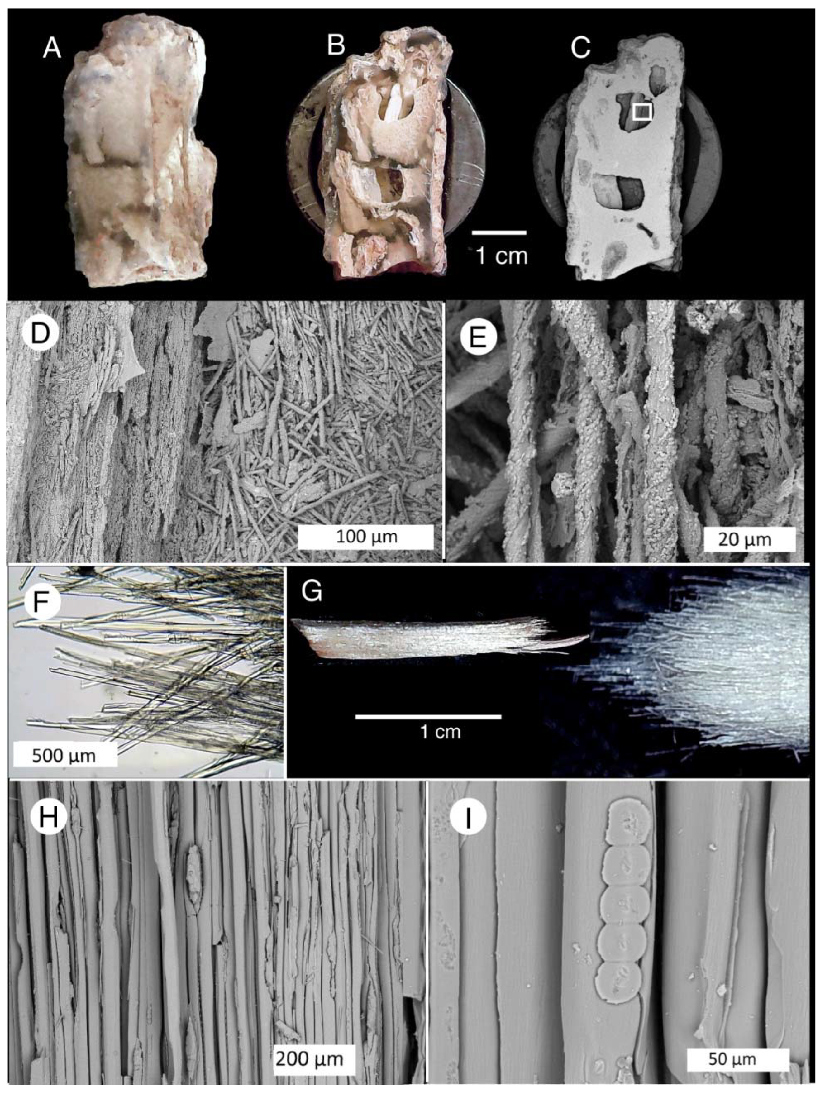 Minerals 13 01471 g014