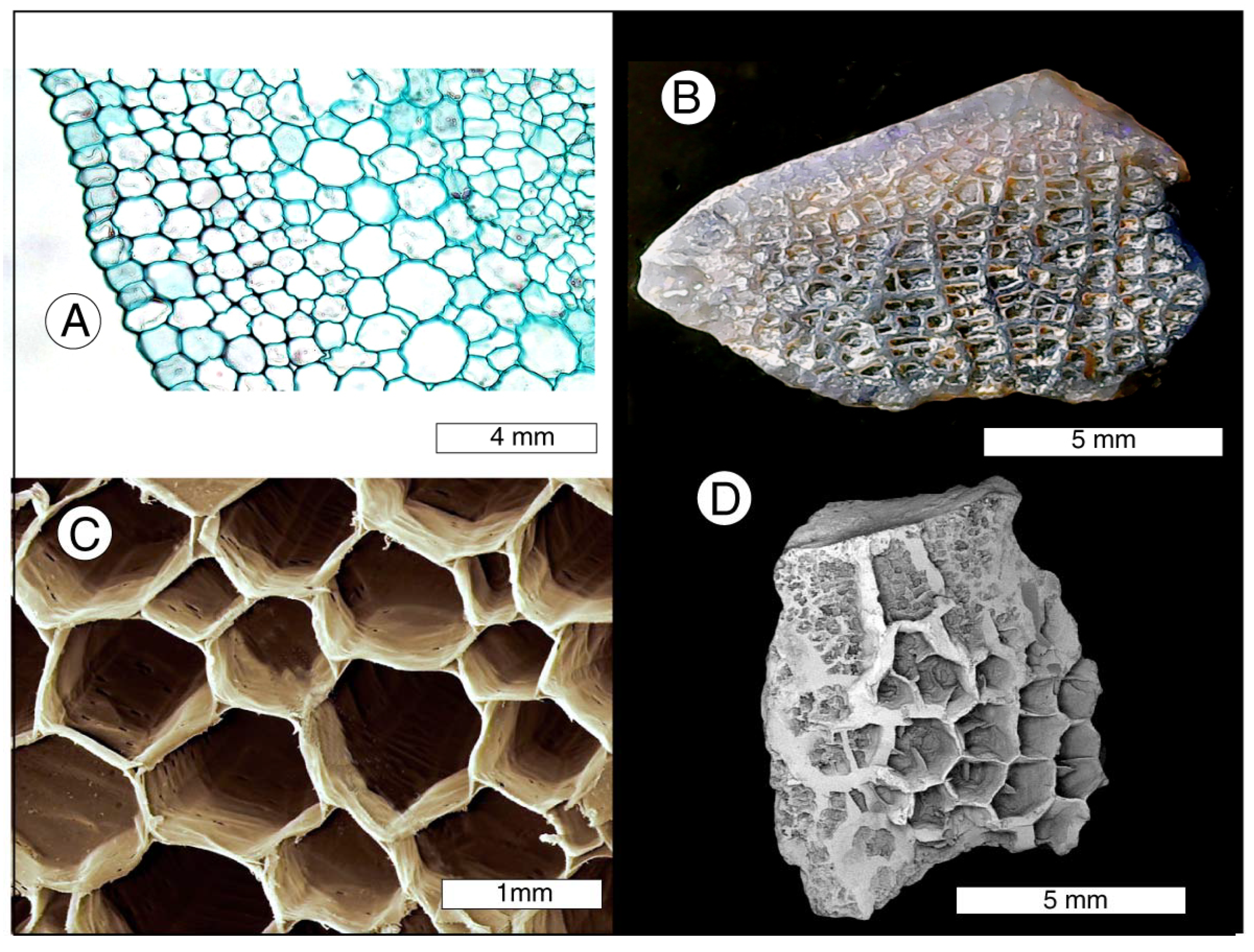 Minerals 13 01471 g018