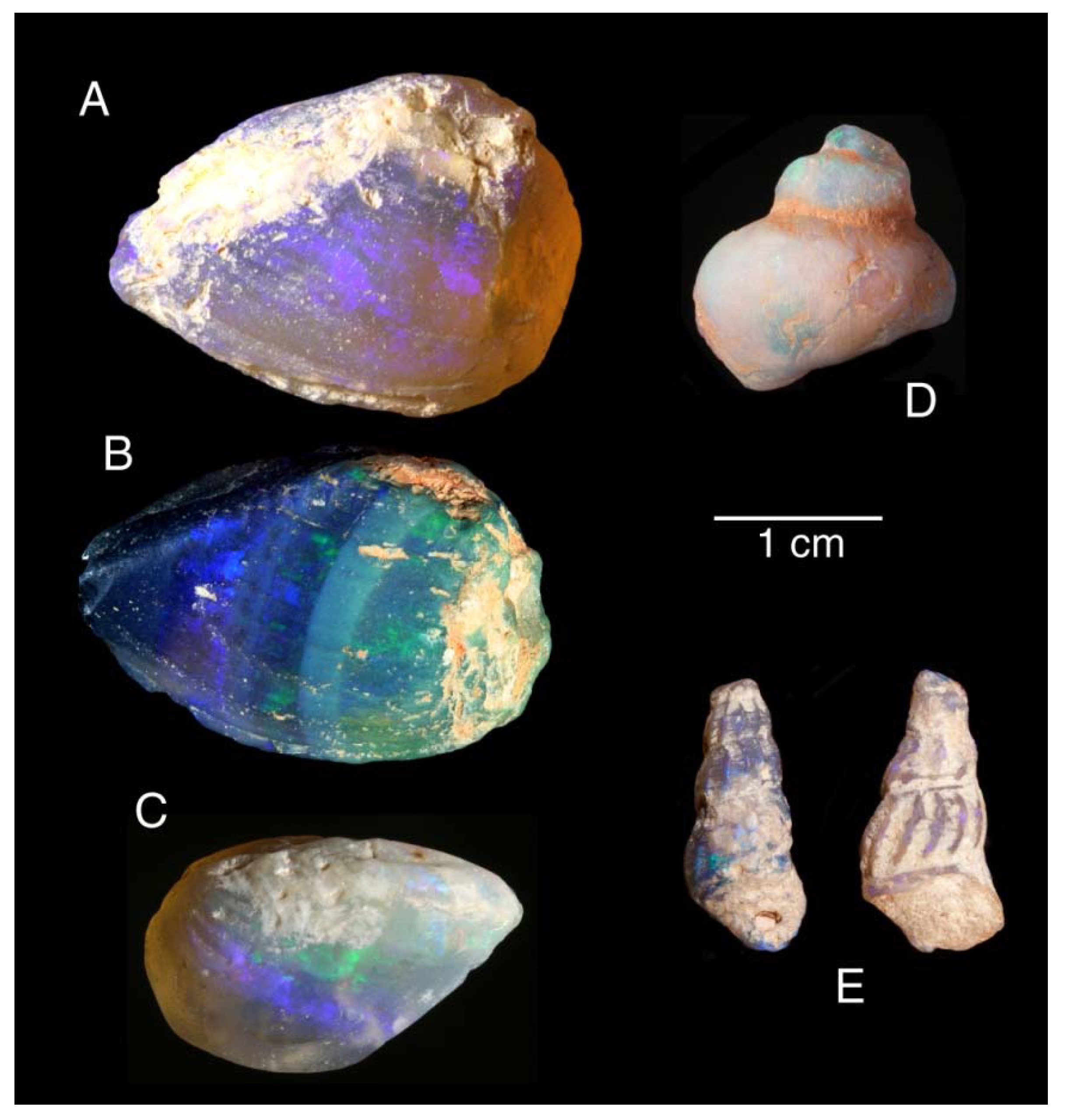 Minerals 13 01471 g019